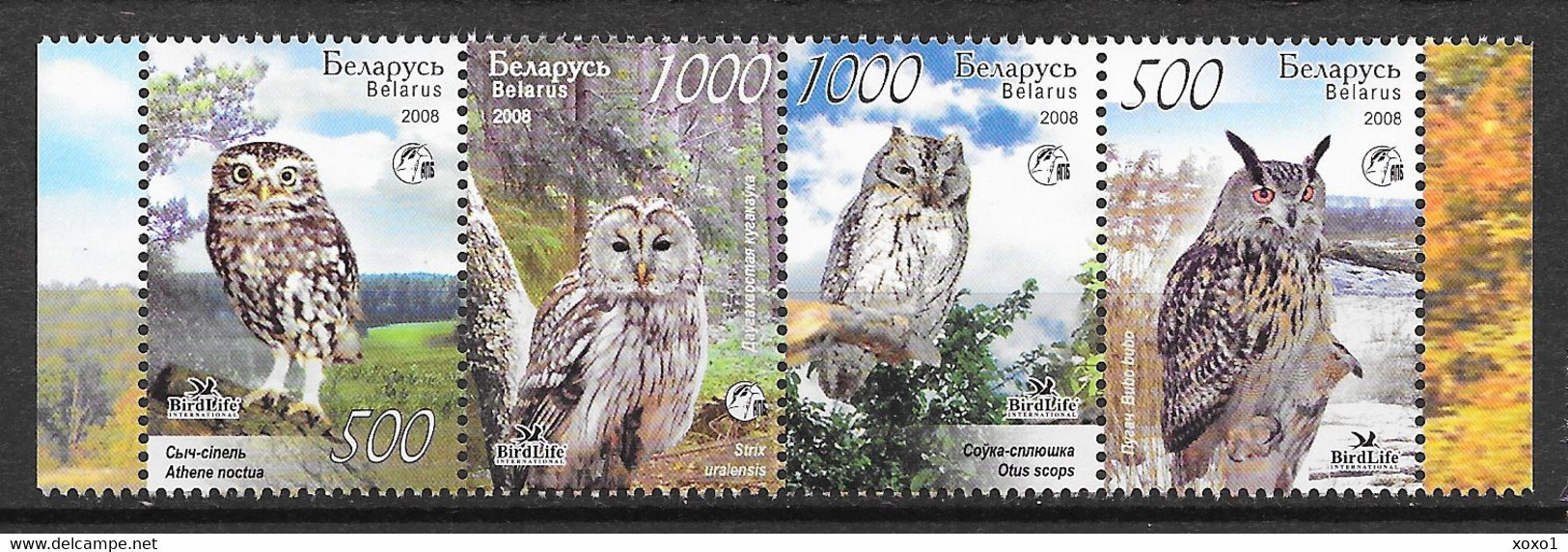 Belarus 2008 MiNr. 750 - 753 Weißrußland Owls II BIRDS BirdLife 4v MNH** 3,00 € - Búhos, Lechuza