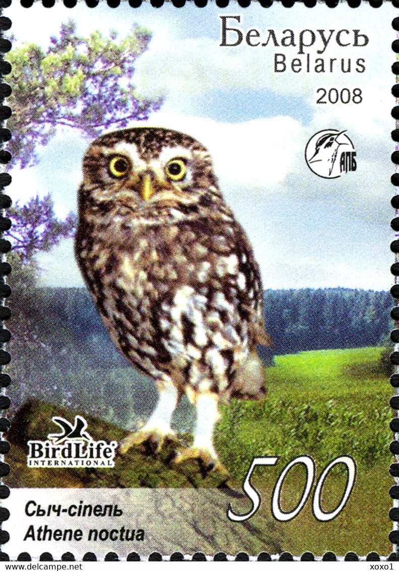 Belarus 2008 MiNr. 750 - 753 Weißrußland Owls II BIRDS BirdLife 4v MNH** 3,00 € - Owls