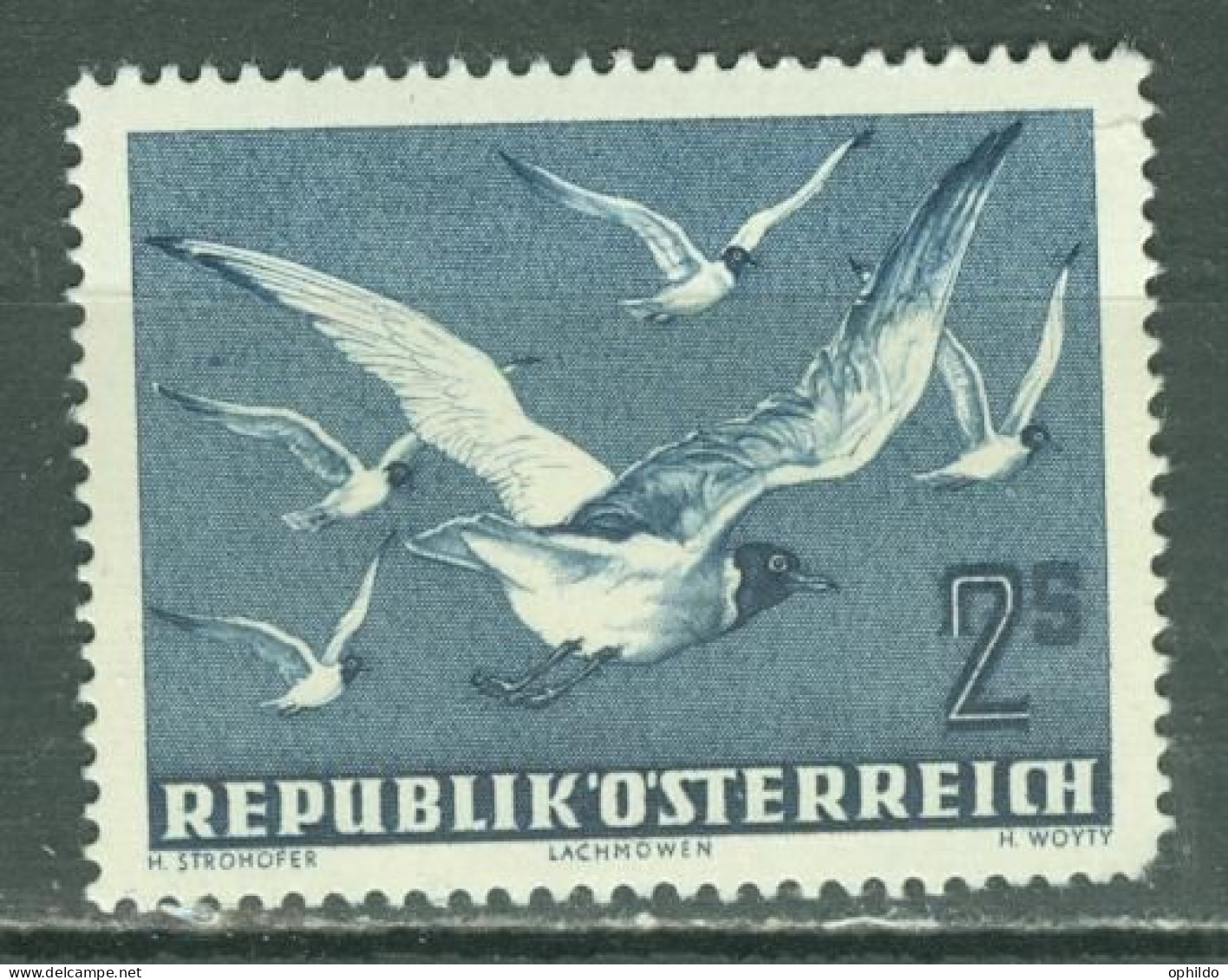 Oiseau  Autriche    PA  56   *  *    Second Choix    Cote 20 Euro   - Meeuwen