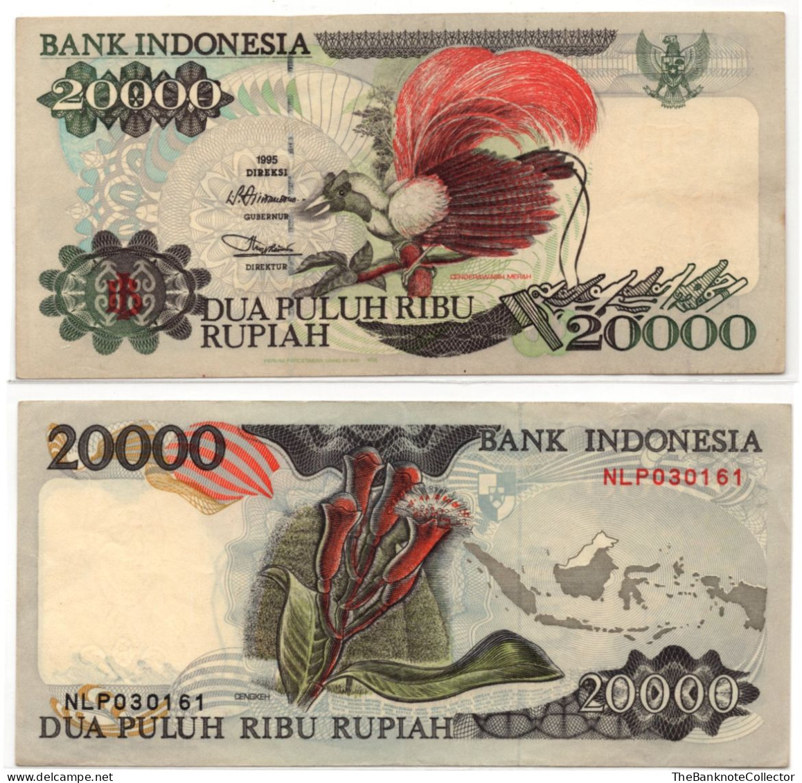 Indonesia 20000 Rupiah 1995 P-132 Bird Of Paradise VF - Indonesia