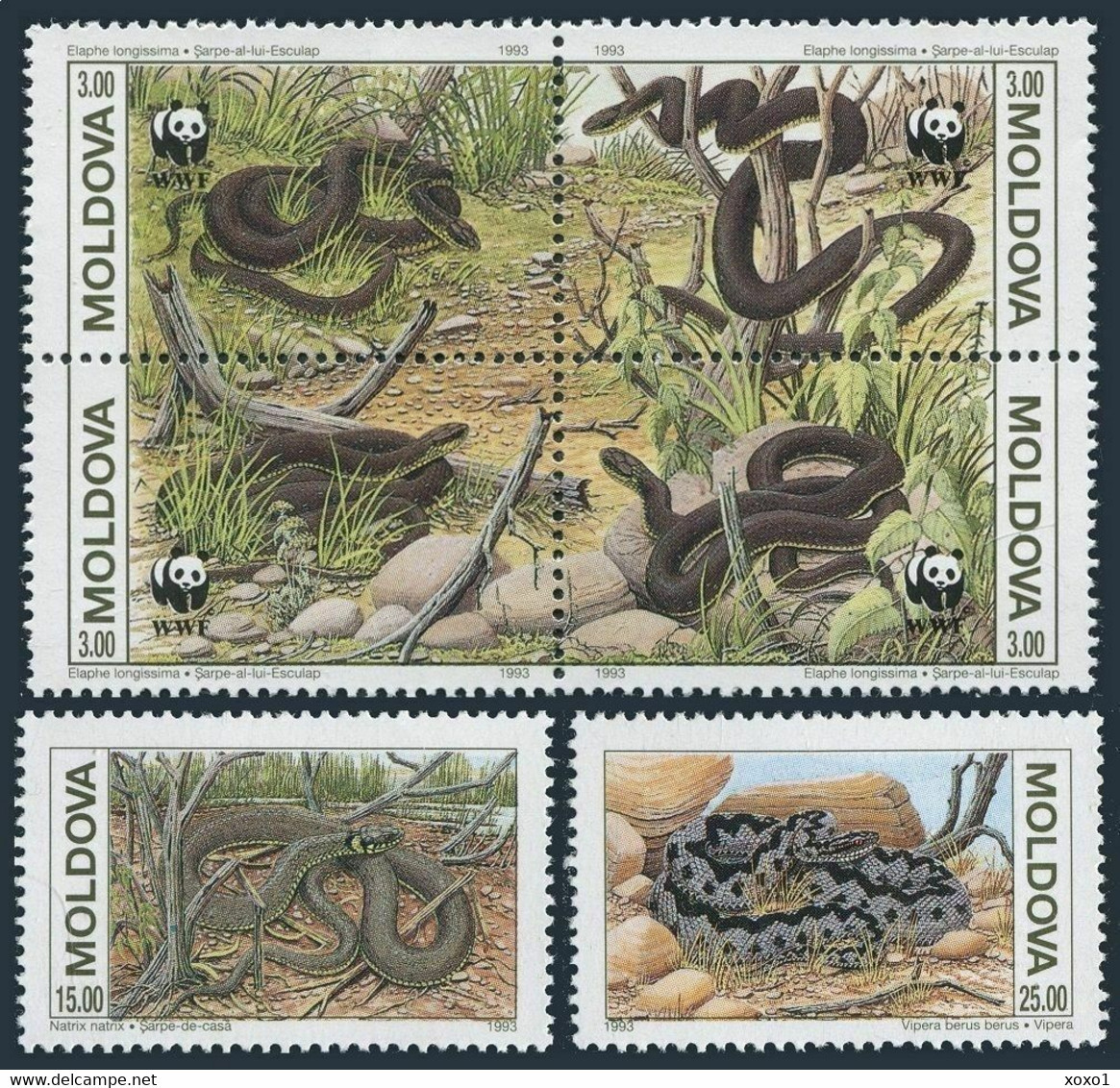 Moldova 1993 MiNr. 50 - 55  Moldawien WWF Reptiles Snakes 6v MNH** 8,00 € - Snakes