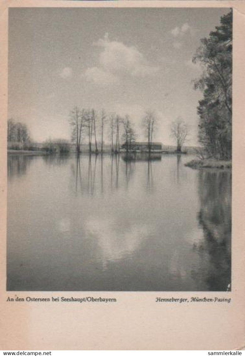 12546 - Osterseen Bei Seeshaupt - Ca. 1955 - Weilheim