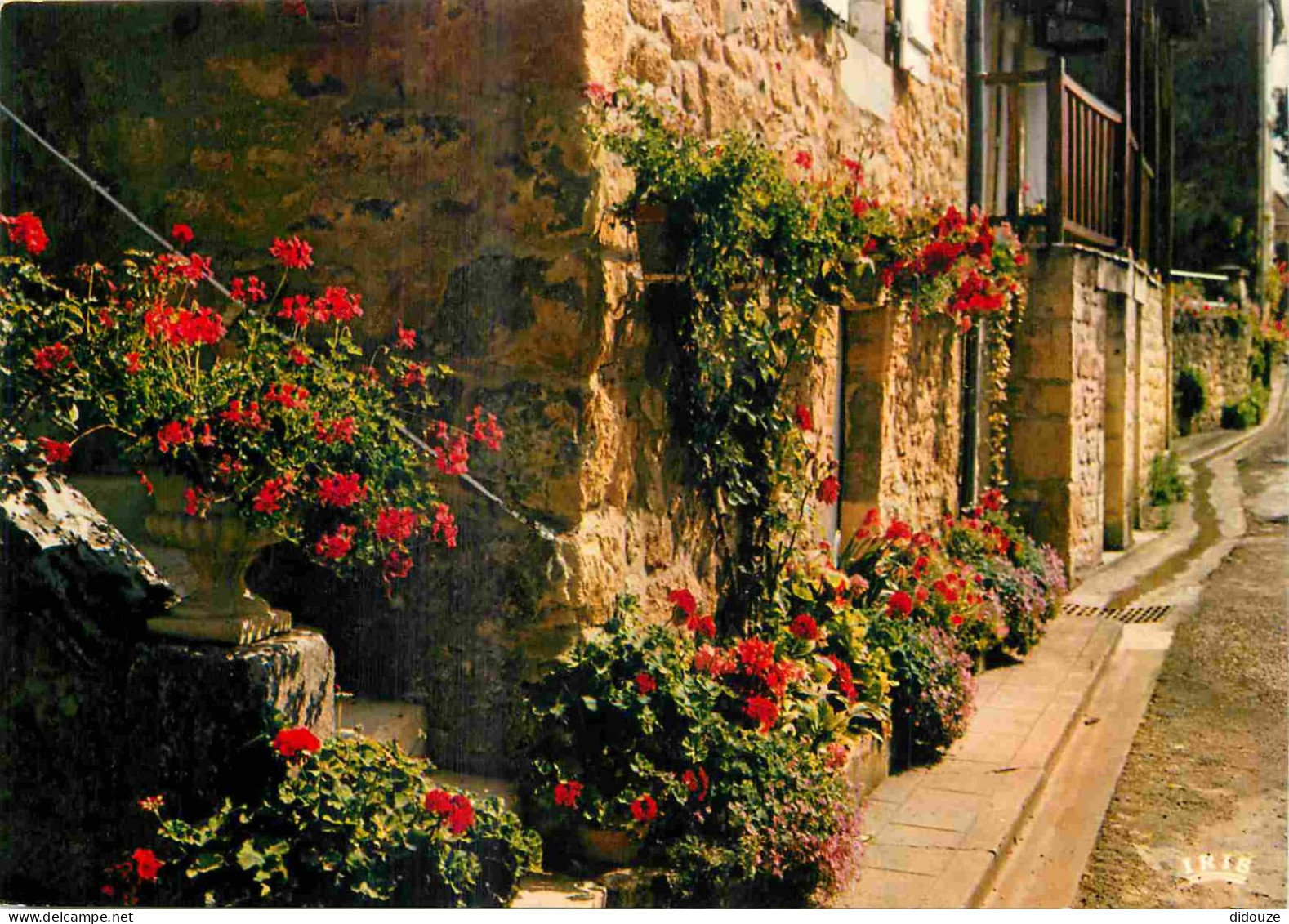 24 - Domme - Ruelle Fleurie - CPM - Voir Scans Recto-Verso - Domme