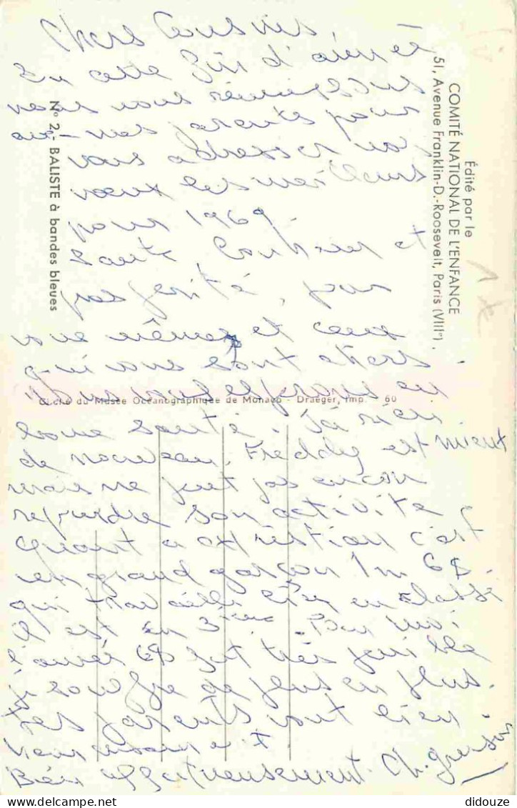 Animaux - Poissons - Baliste à Bandes Bleues - CPM Format CPA - Voir Scans Recto-Verso - Pesci E Crostacei