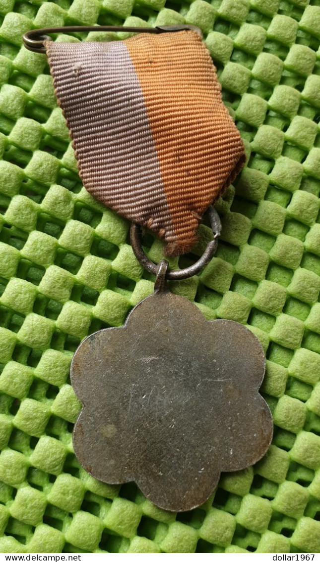 Medaile :  W.S.V. Oranje Nassau ( Almelo ) + 1945 -  Original Foto  !!  Medallion  Dutch - Autres & Non Classés