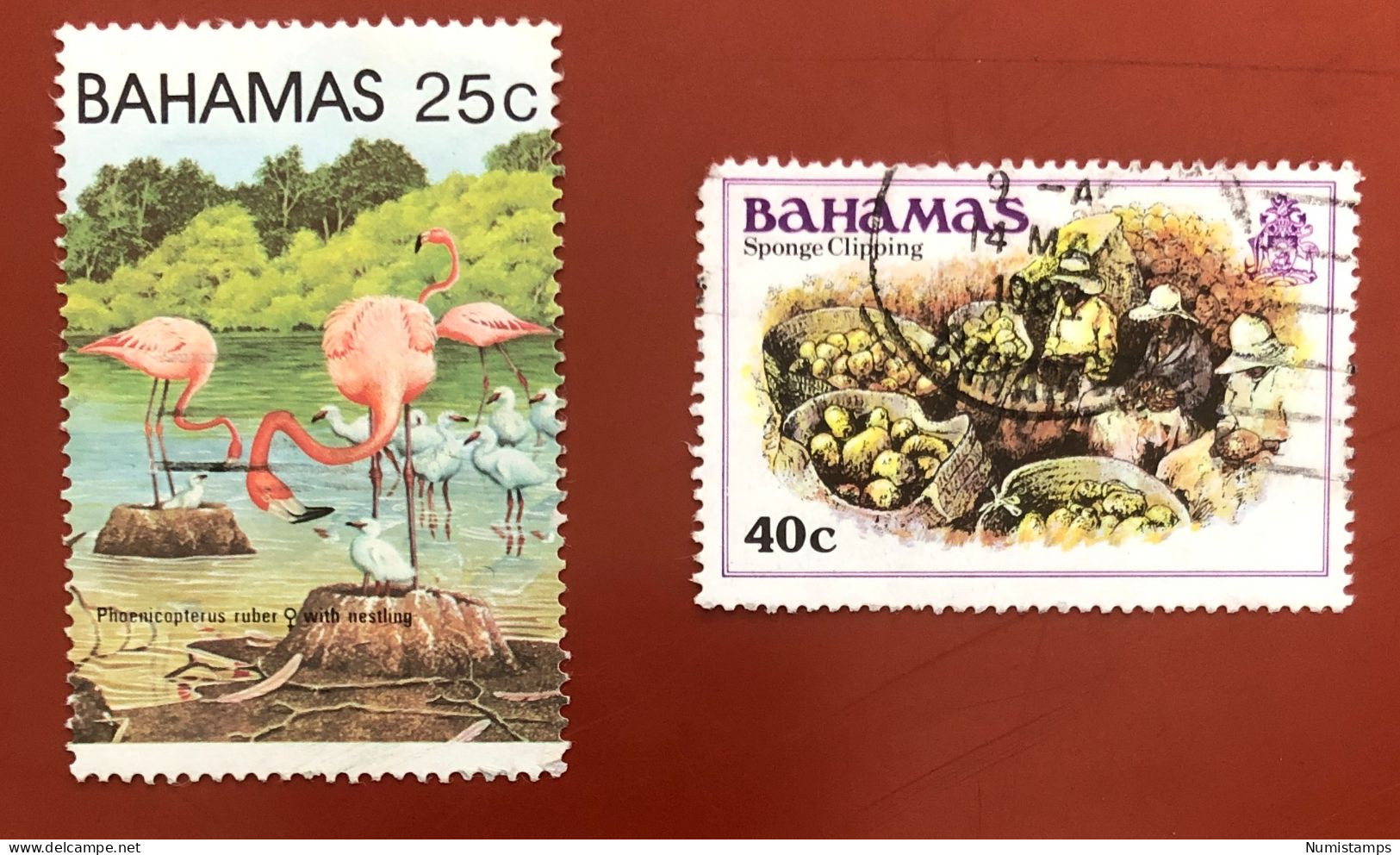 Bahamas › 1980 - 1982 - Bahamas (1973-...)