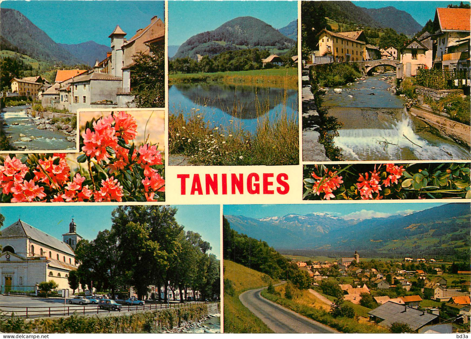 74 - TANNINGES MULTIVUES - Taninges