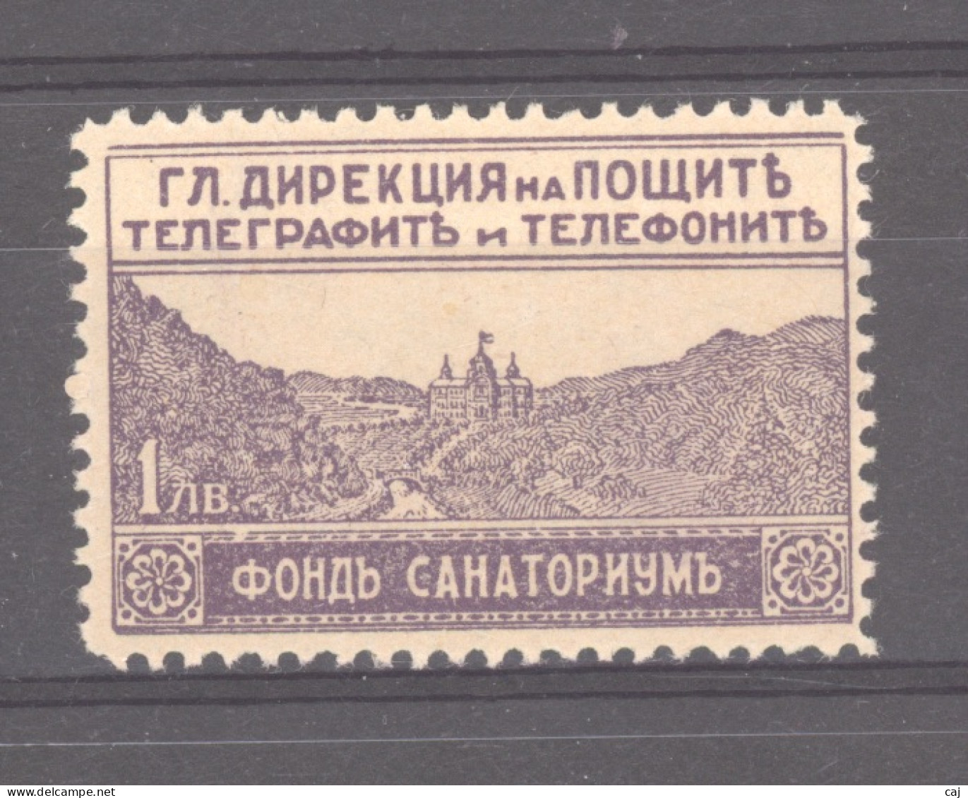 Bulgarie  -  Expres  :  Yv  5  * - Express Stamps