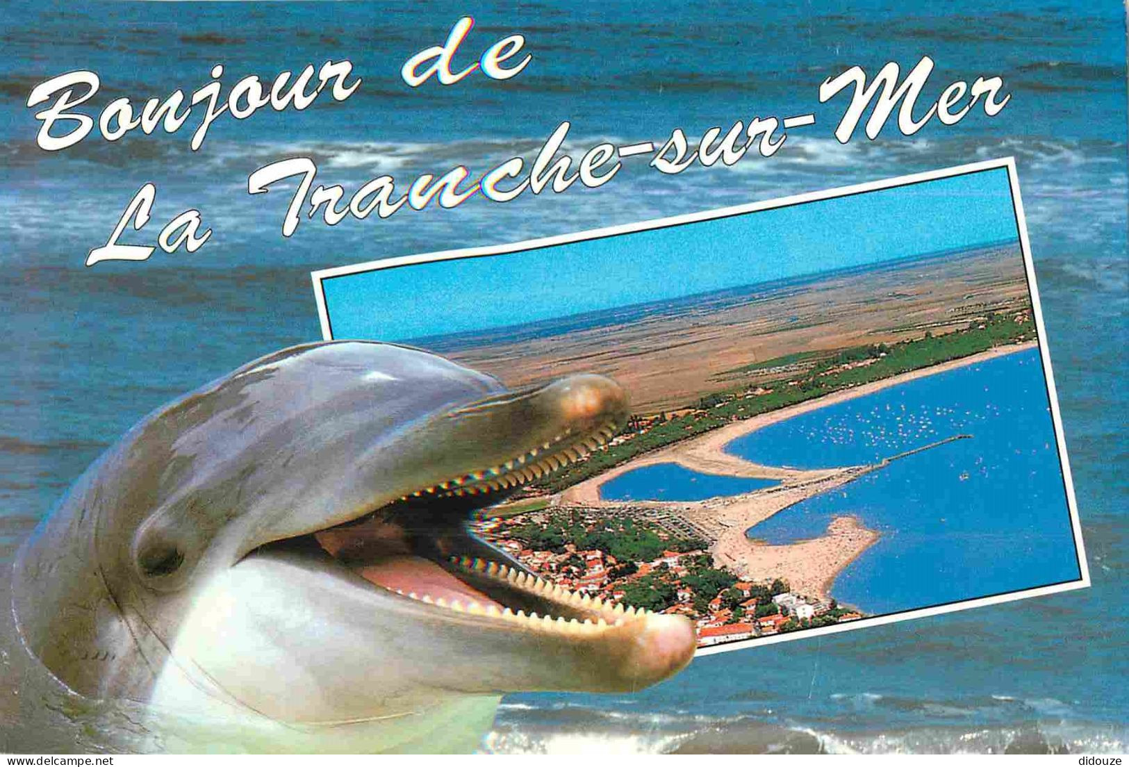 Animaux - Dauphin - Dolphin - La Tranche Sur Mer - CPM - Voir Scans Recto-Verso - Dauphins