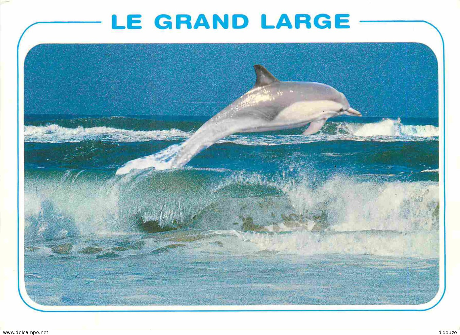 Animaux - Dauphin - Dolphin - Carte à Message - CPM - Carte Neuve - Voir Scans Recto-Verso - Delfini