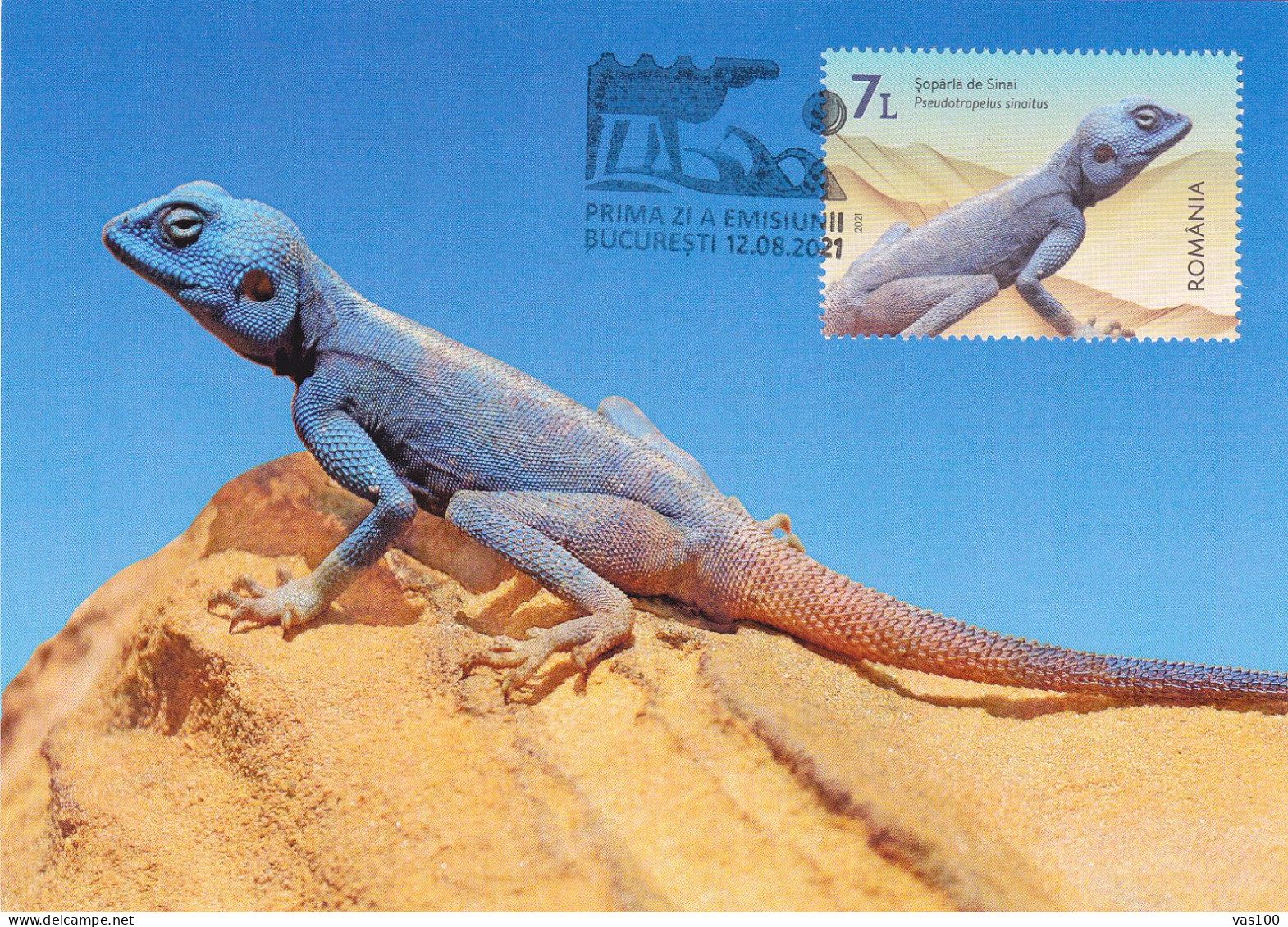 Reptiles / Crawler / Lizard /  MAXI CRD,CARTES MAXIMUM CM,2021 ROMANIA. - Maximum Cards & Covers
