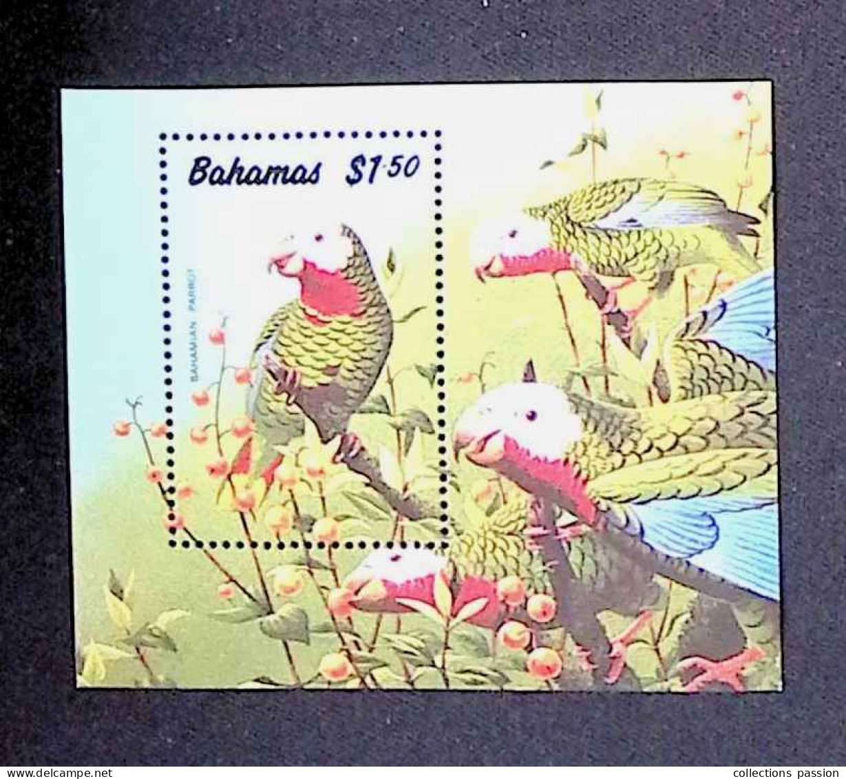 CL, Bloc, Block, Bahamas, Perroquet, Bahamian Parrot - Bahama's (1973-...)