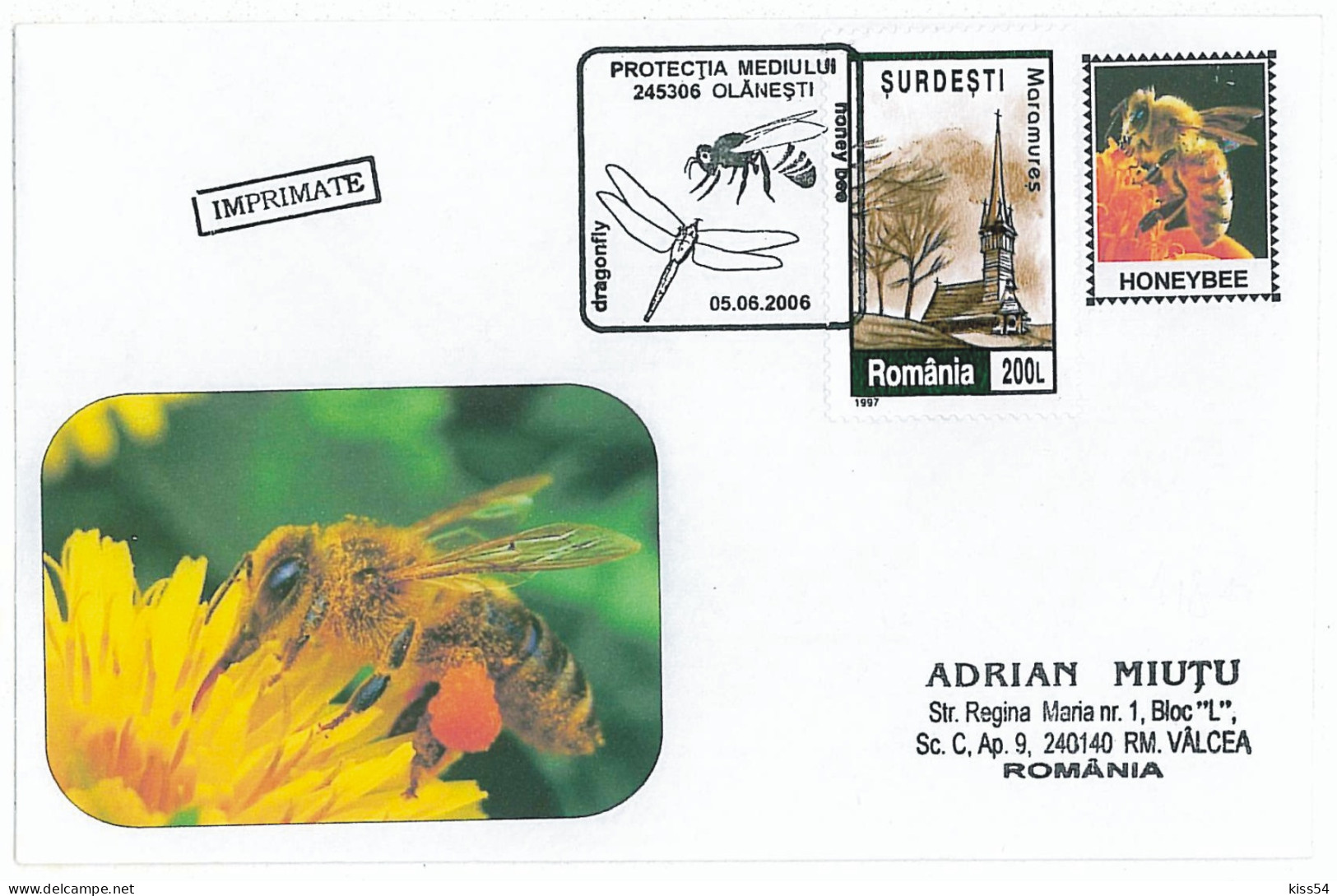 COV 25 - 484 HONEY BEE, Romania - 2006 - Abeilles