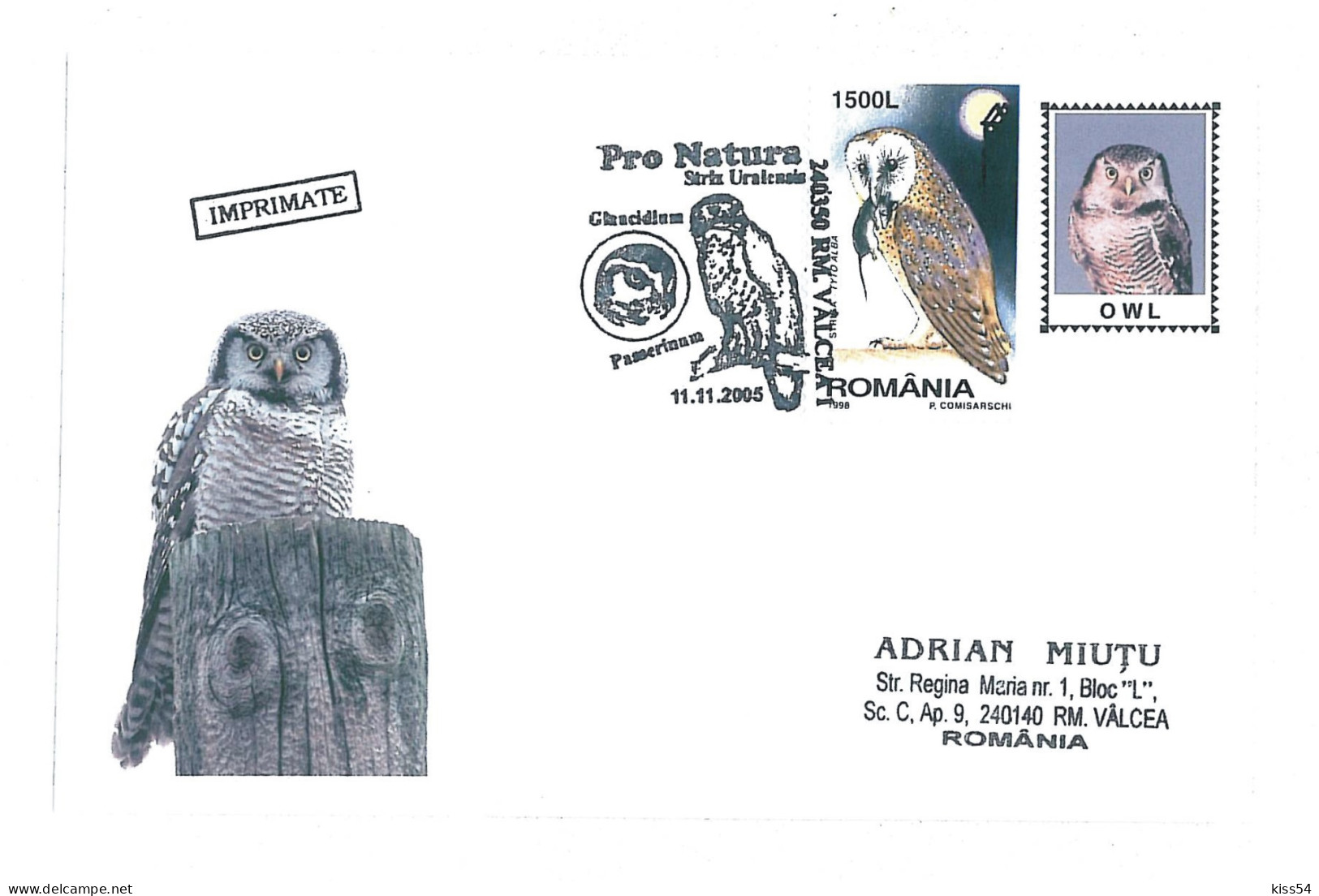 COV 25 - 256 OWL, Romania - Used - 2005 - Owls