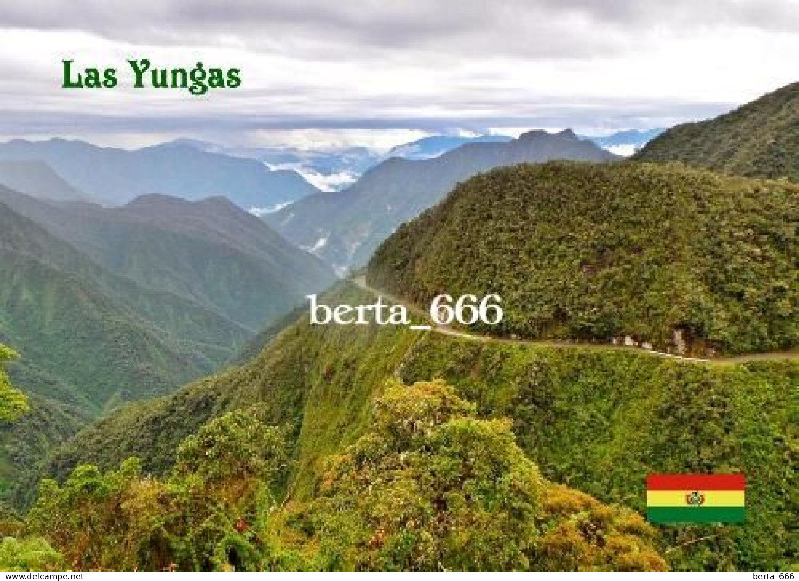 Bolivia Andes Yungas Road New Postcard - Bolivia