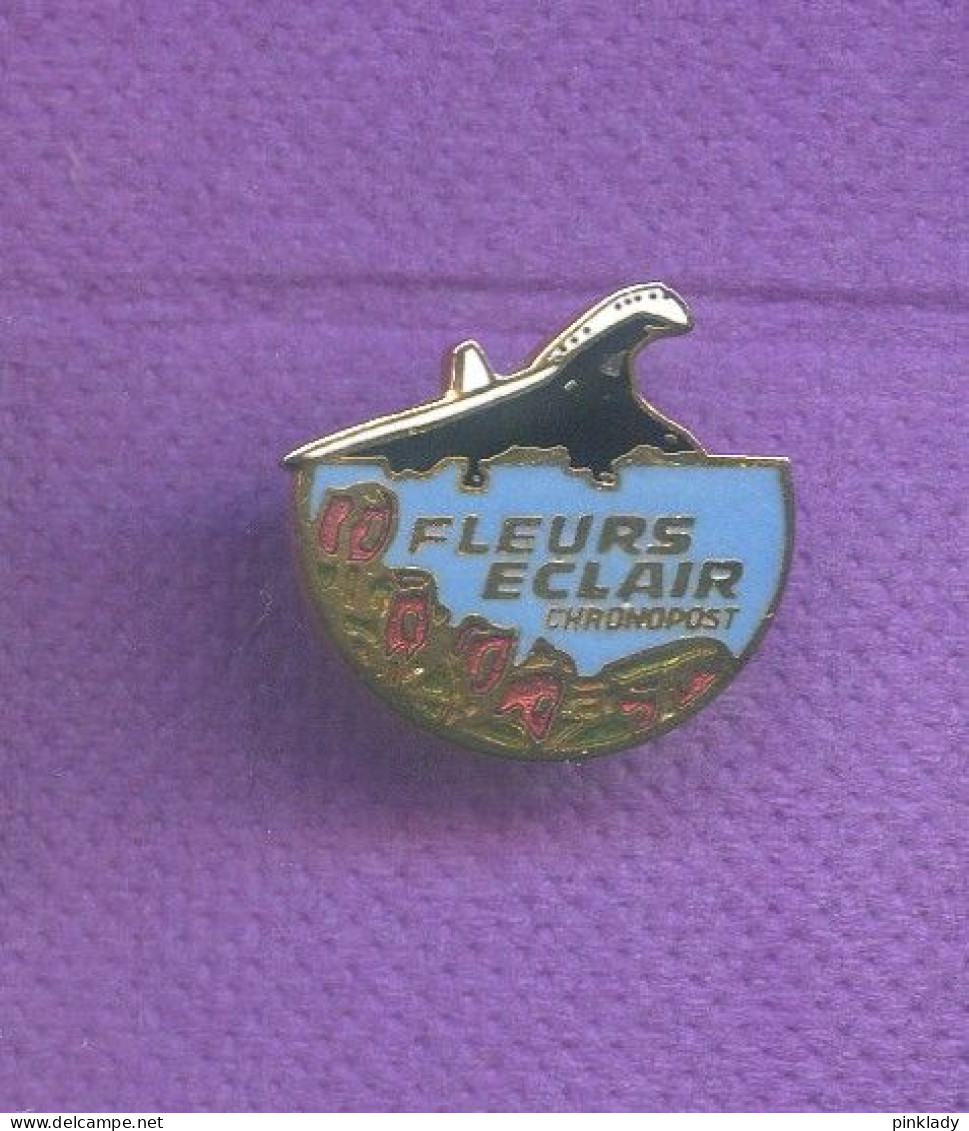 Rare Pins Avion Concorde Chronopost Egf Q785 - Avions