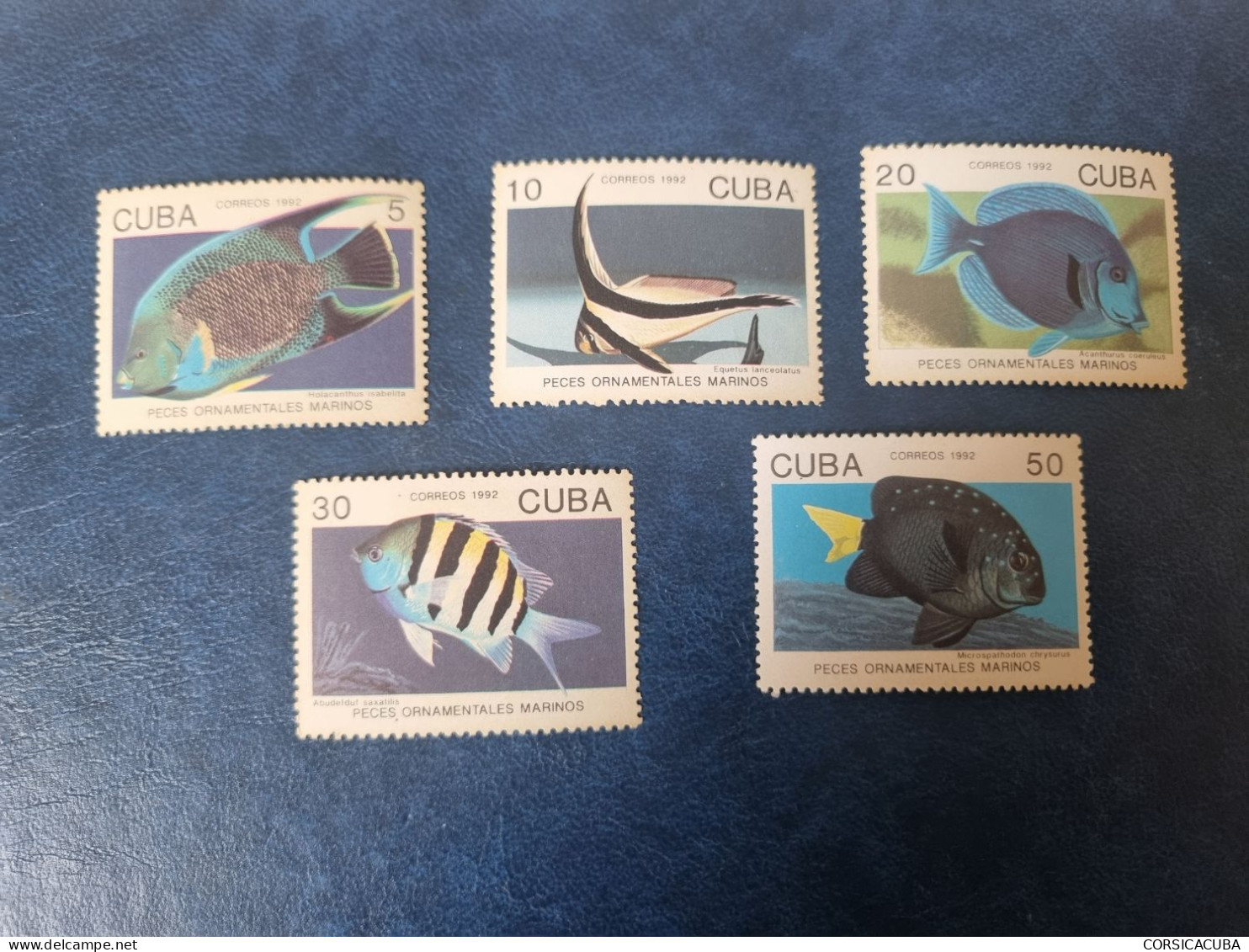 CUBA  NEUF  1992    PECES  ORNAMENTALES  MARINOS  //   PARFAIT  ETAT  //  1er  CHOIX  // - Unused Stamps