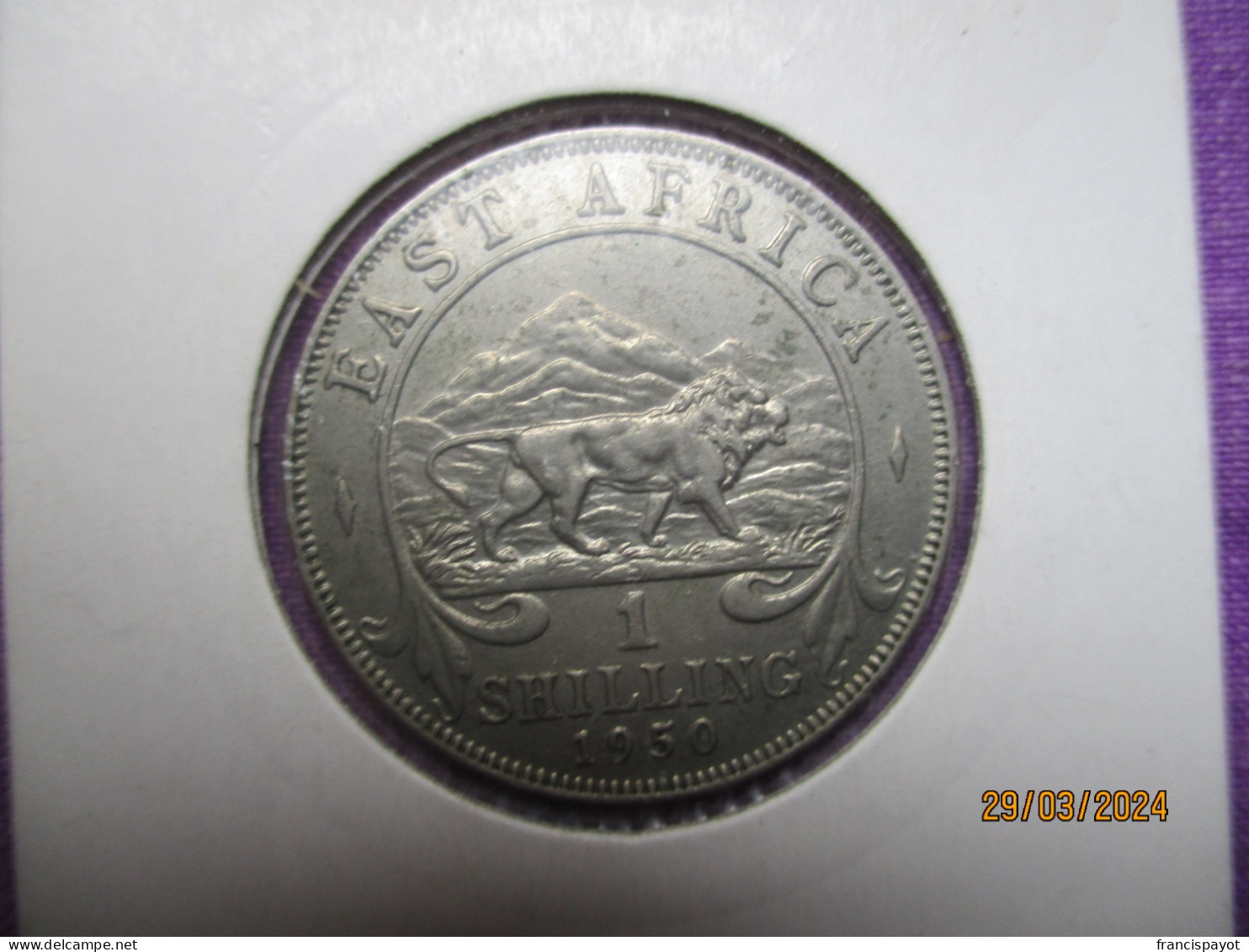 British East Africa: 1 Shilling 1950 - Colonie Britannique