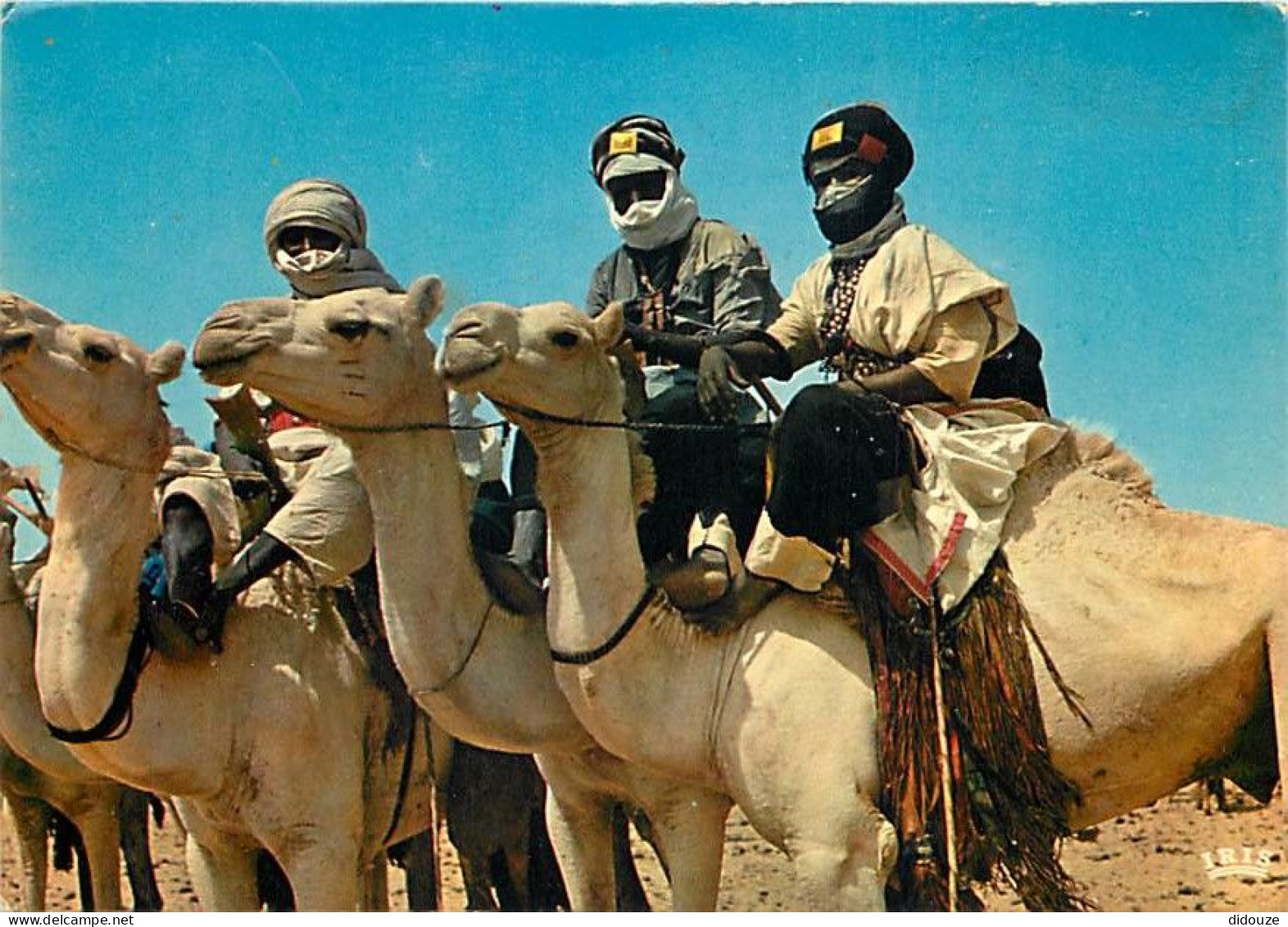 Niger - Touaregs - Chameaux - Scènes Et Types - CPM - Voir Scans Recto-Verso - Niger