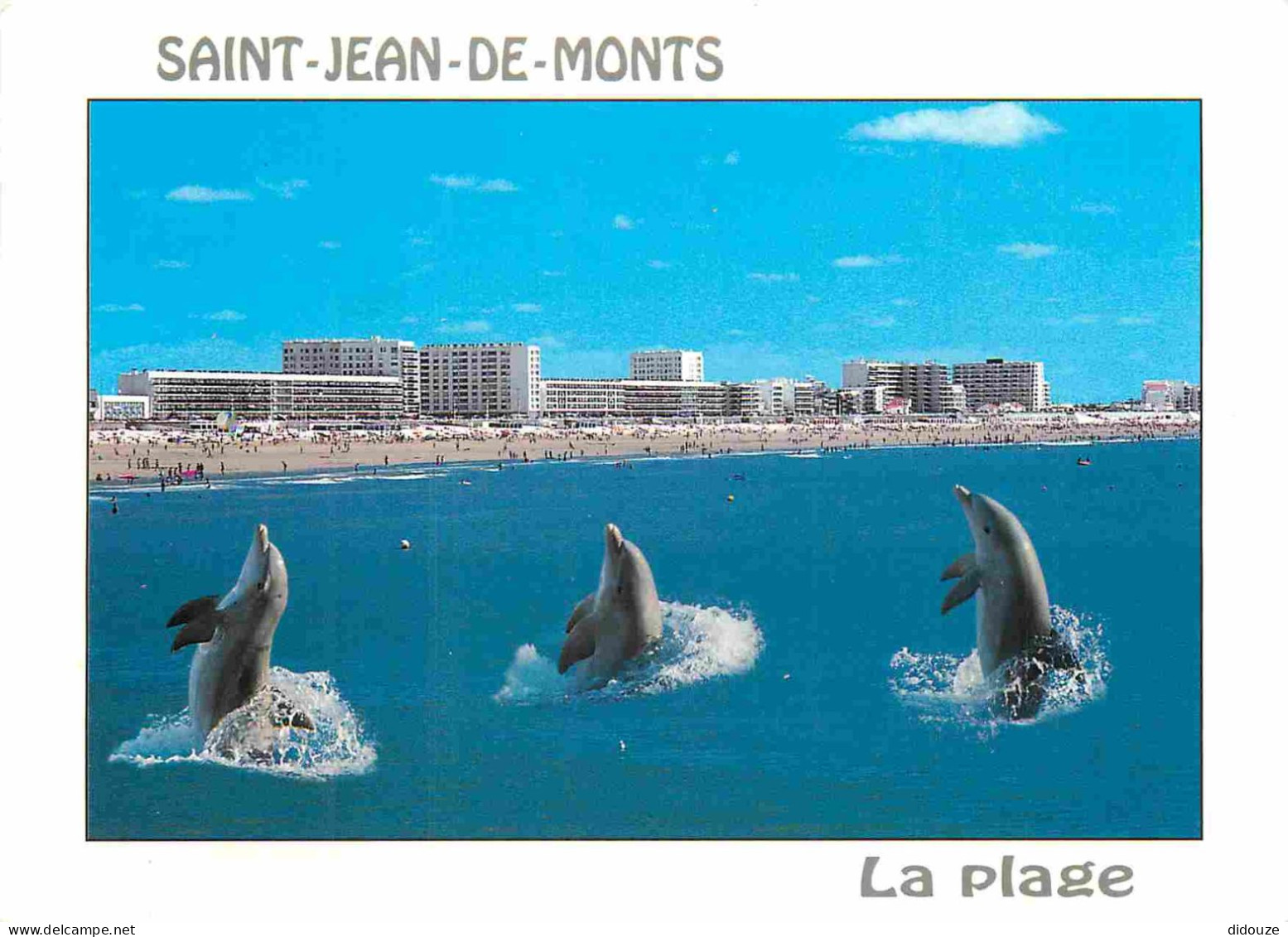 Animaux - Dauphin - Dolphin - Saint Jean De Monts - CPM - Voir Scans Recto-Verso - Delphine