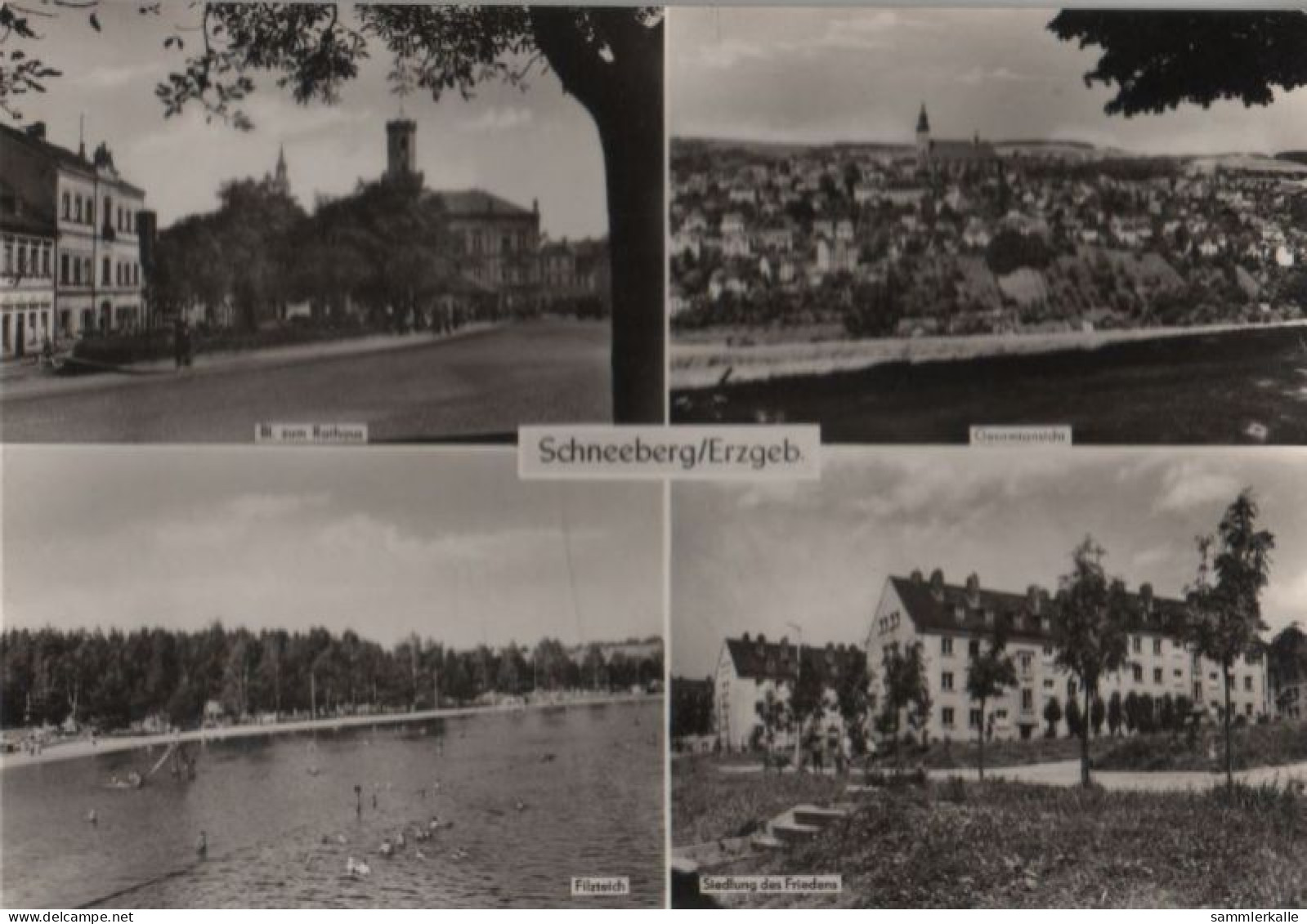 55201 - Schneeberg - U.a. Filzteich - 1973 - Schneeberg