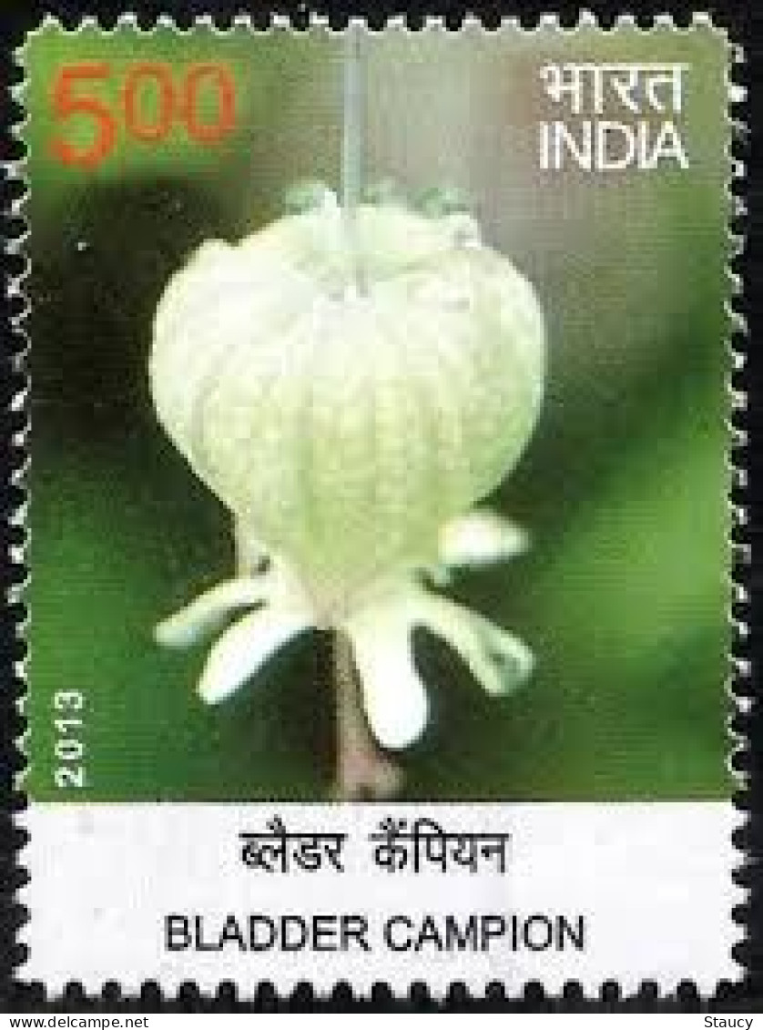 India 2013 India Wild Flowers BLADDER CAMPIAN MNH - Orchids