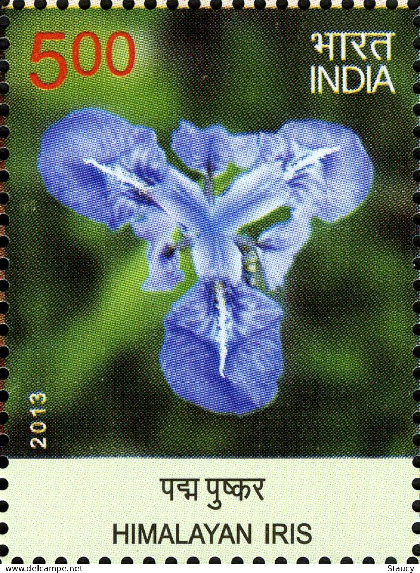 India 2013 India Wild Flowers HIMALAYAN IRIS MNH - Orchids