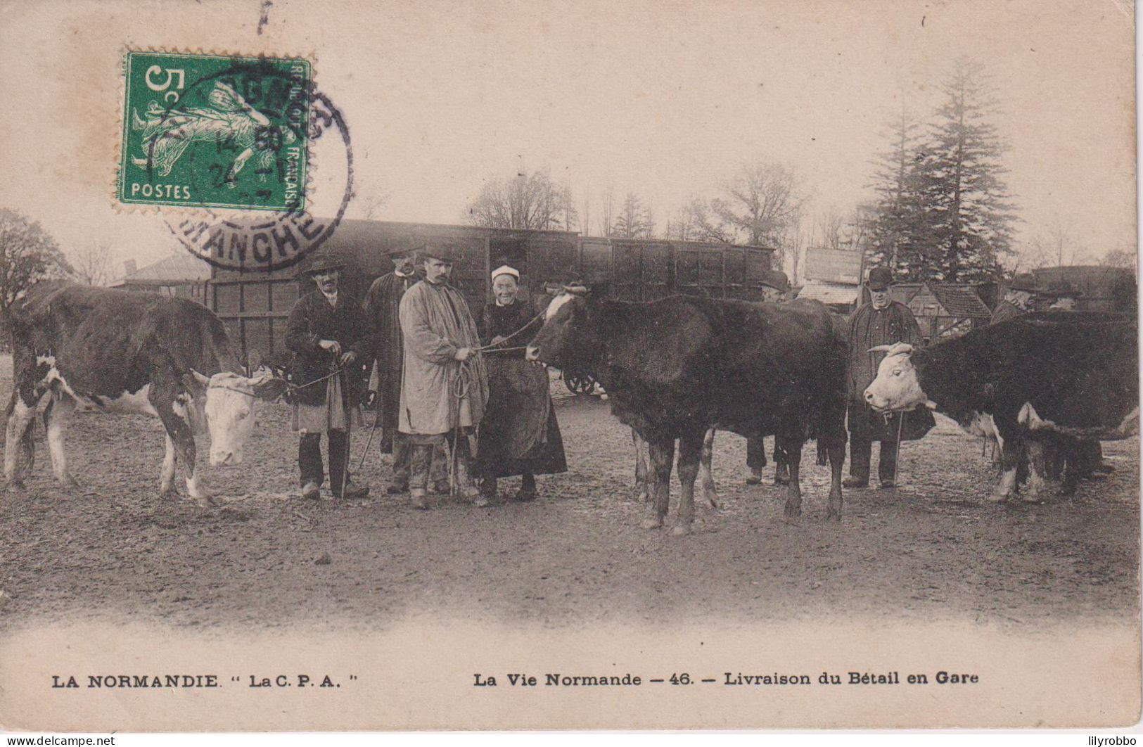 FRANCE. - LA NORMANDIE - La Vie Normande - Livraison Du Betail En Gare - Superby Animated With Cows Etc - 1907 - Haute-Normandie