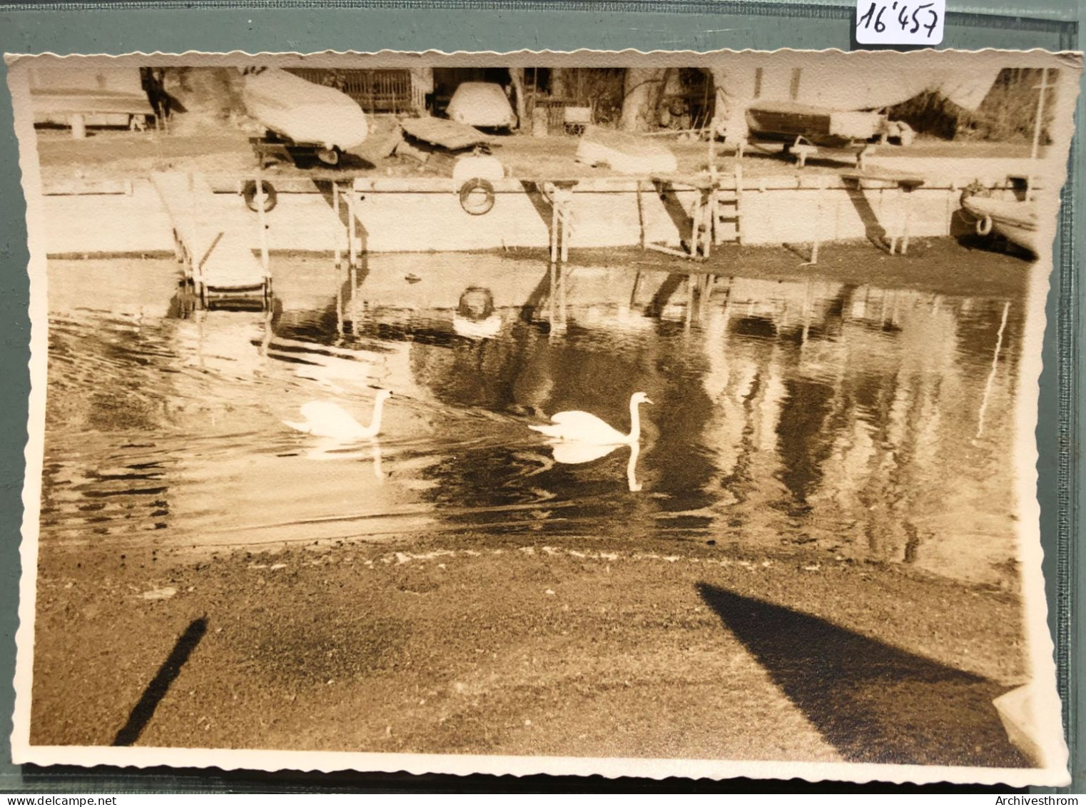 Saint-Sulpice - Cygnes Dans Le Port - Années 1950 (16'457) - Saint-Sulpice