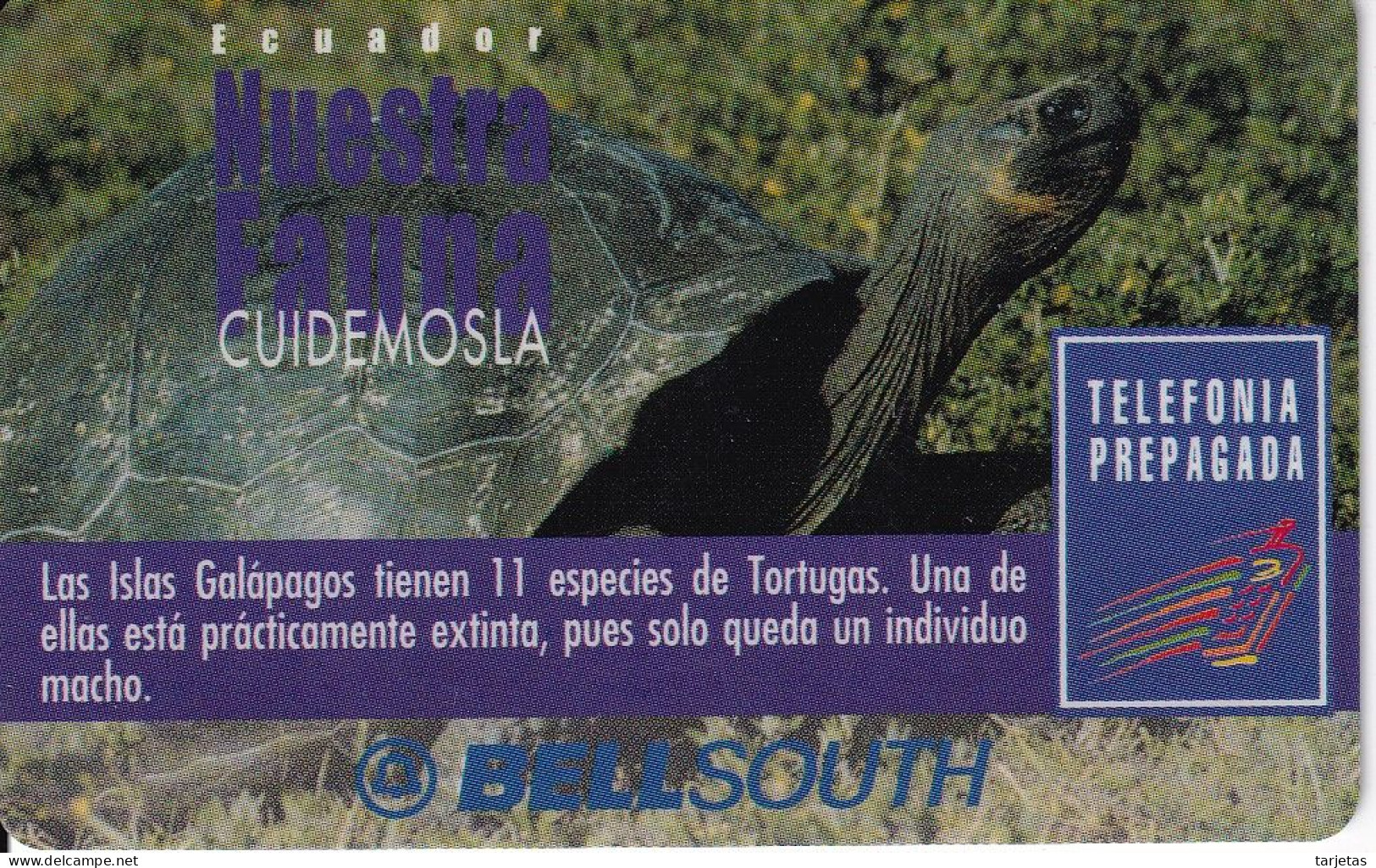 TARJETA DE ECUADOR DE UNA TORTUGA DE LAS GALAPAGOS (TURTLE) CADUCA NOVIEMBRE 2000 - Equateur