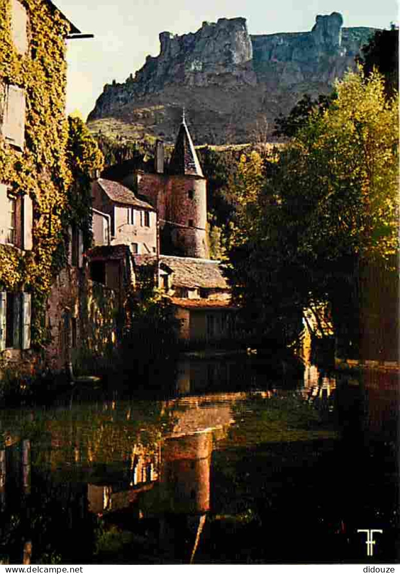 48 - Florac - Le Château Et La Source Du Pêcher Sous La Corniche Du Causse Méjean - CPM - Voir Scans Recto-Verso - Florac