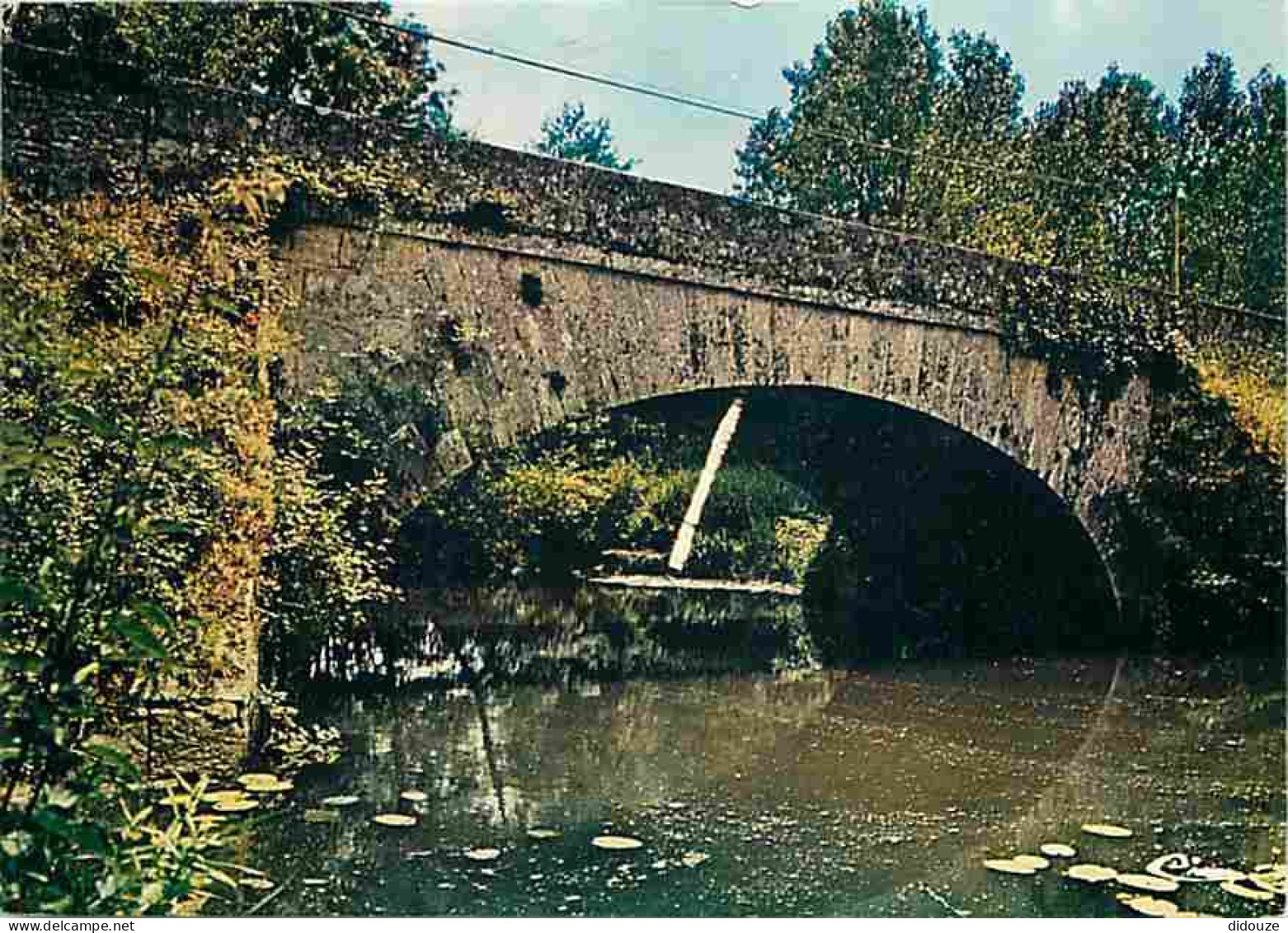 49 - Thouarcé - Pont Sur Le Layon - Vieilles Pierres - CPM - Voir Scans Recto-Verso - Thouarce