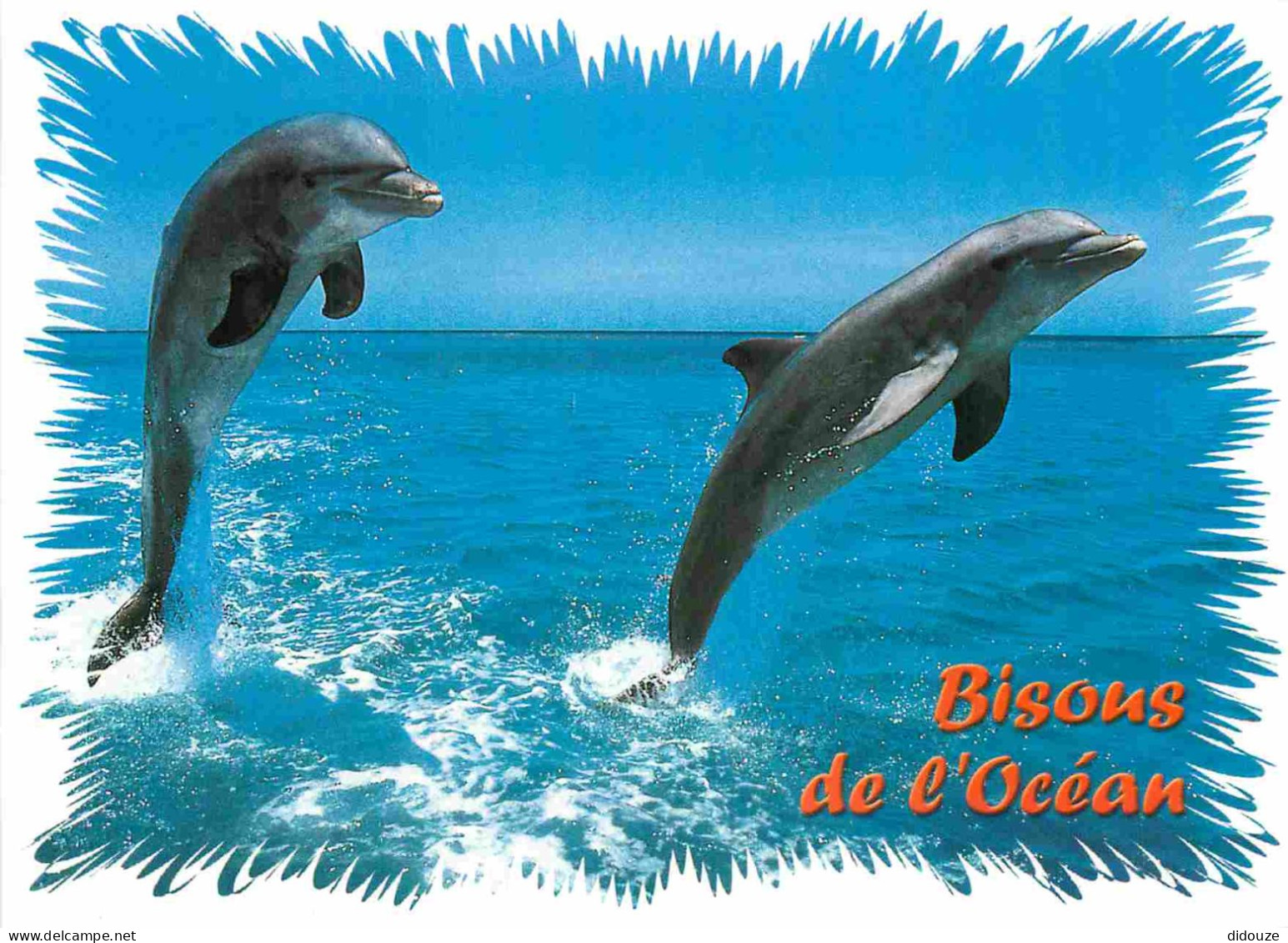 Animaux - Dauphin - Dolphin - Carte à Message - CPM - Carte Neuve - Voir Scans Recto-Verso - Dauphins