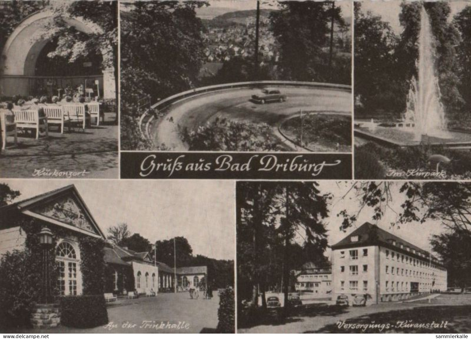 39981 - Bad Driburg - U.a. Kurkonzert - 1963 - Bad Driburg
