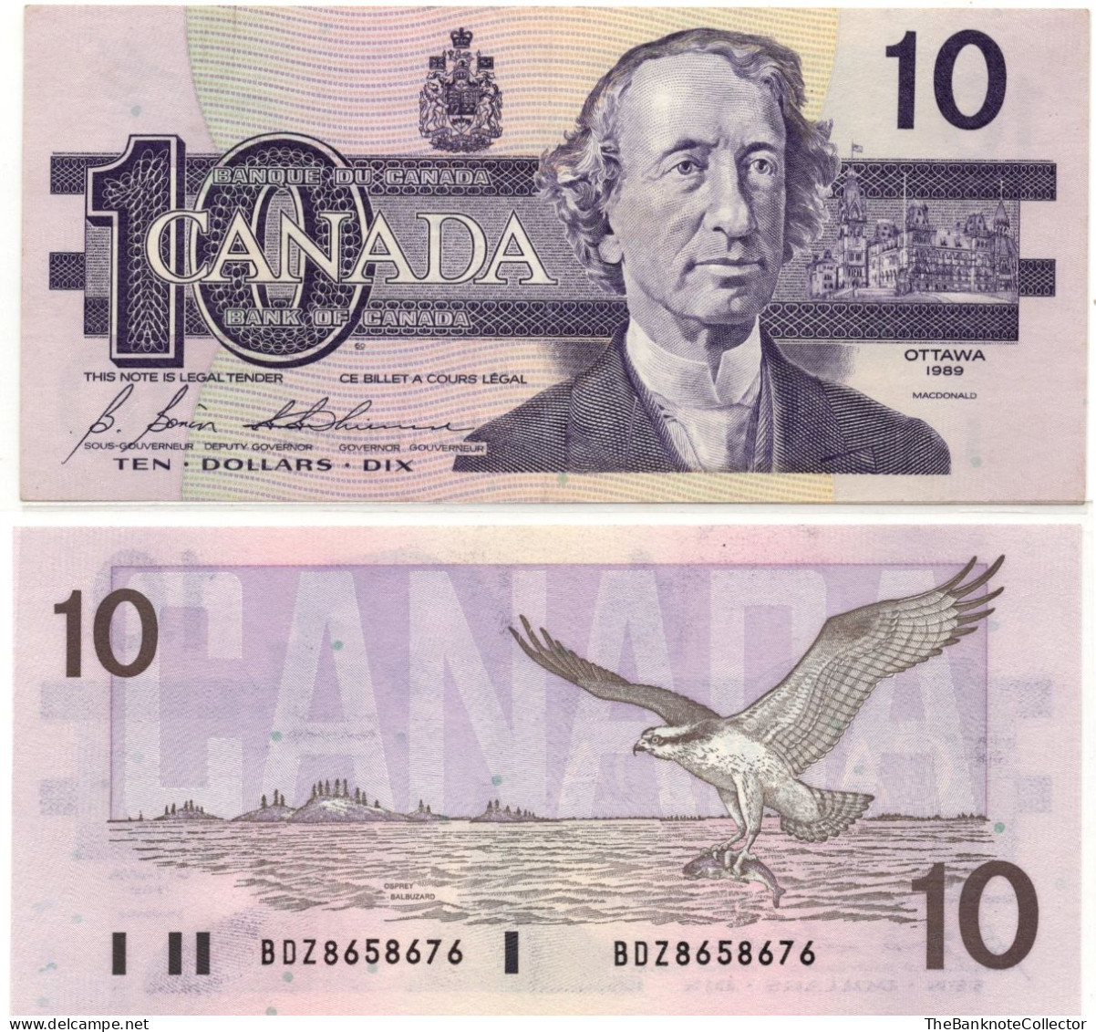 Canada 10 Dollars ND 1986 P-96 Extreme Fine Condition - Kanada