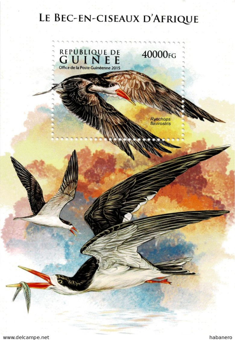 GUINEA 2015 Mi BL 2602 WWF SKIMMER BIRDS MINT MINIATURE SHEET ** - Palmípedos Marinos