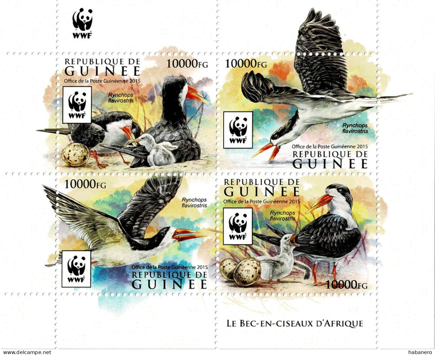 GUINEA 2015 Mi 11528-11531 WWF SKIMMER BIRDS MINT MINIATURE SHEET TYPE I ** - Marine Web-footed Birds