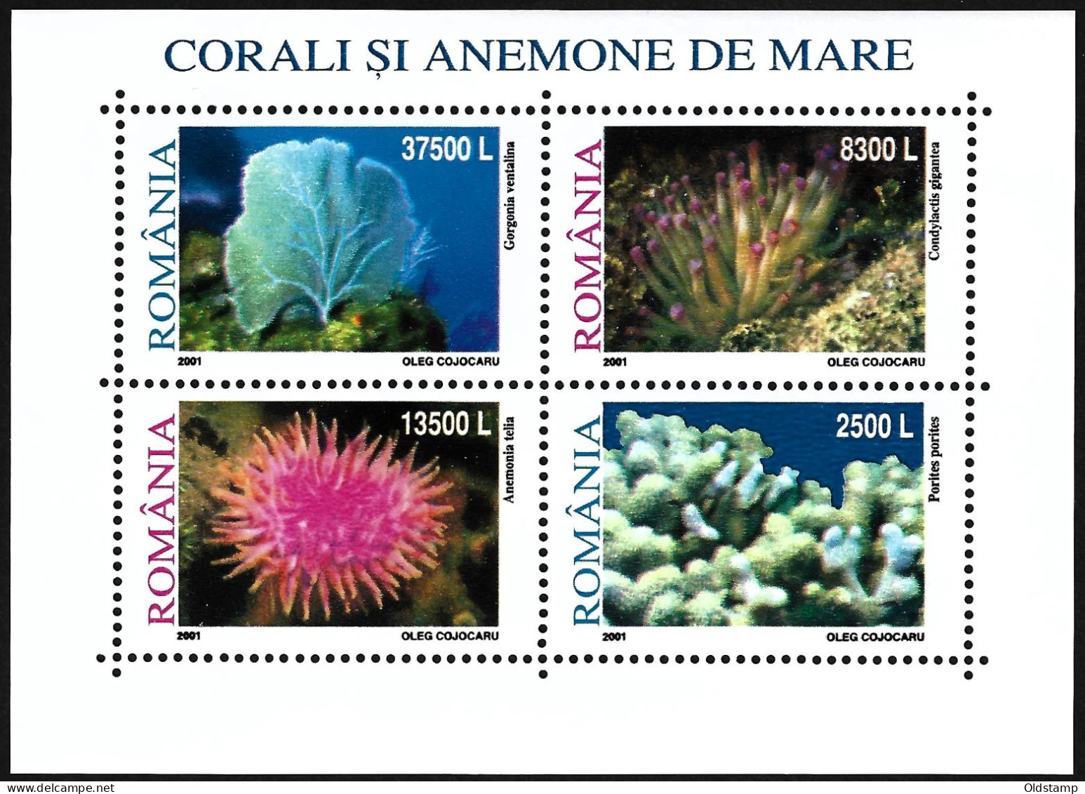 Romania 2001 Marine Life Reefs Corals Anemones Sea Star Under Sea Ocean Fauna Flora MNH Stamps Blocks 2 Minisheets Serie - Marine Life