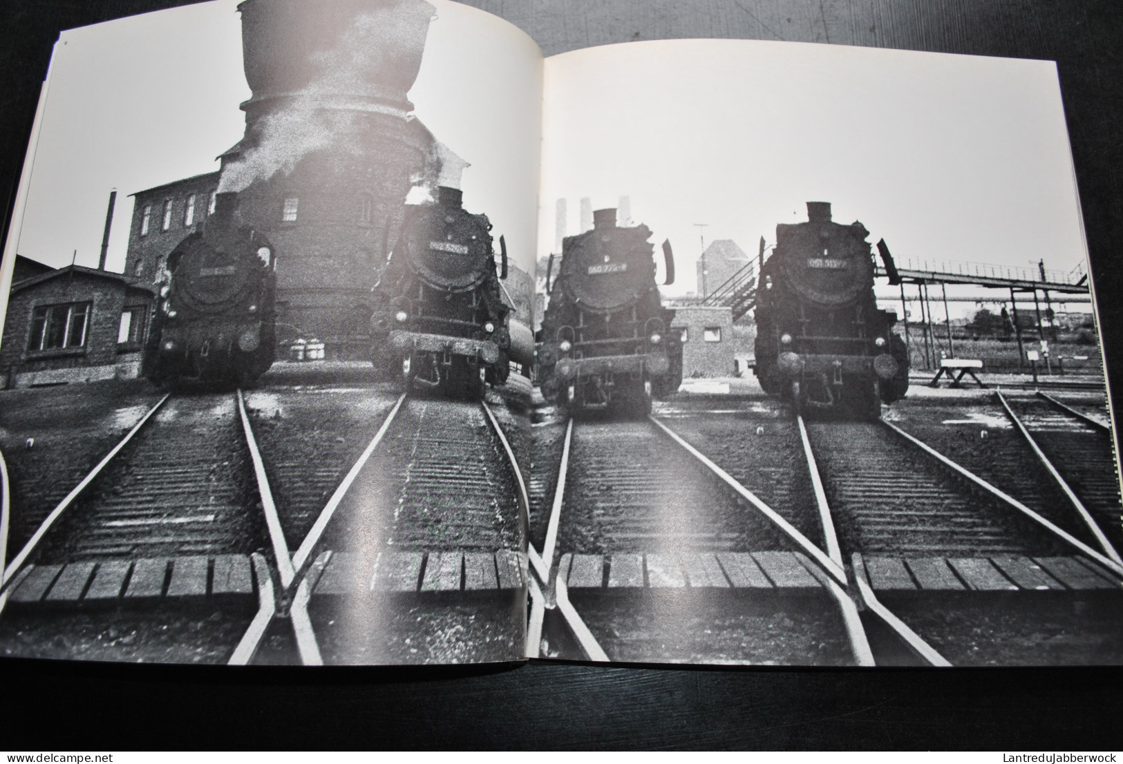 TERBOIS Locographies Edita Denoël 1976 Photographies N&B De Locomotives à Vapeur Train Photo Micheline Chemin De Fer - Spoorwegen En Trams