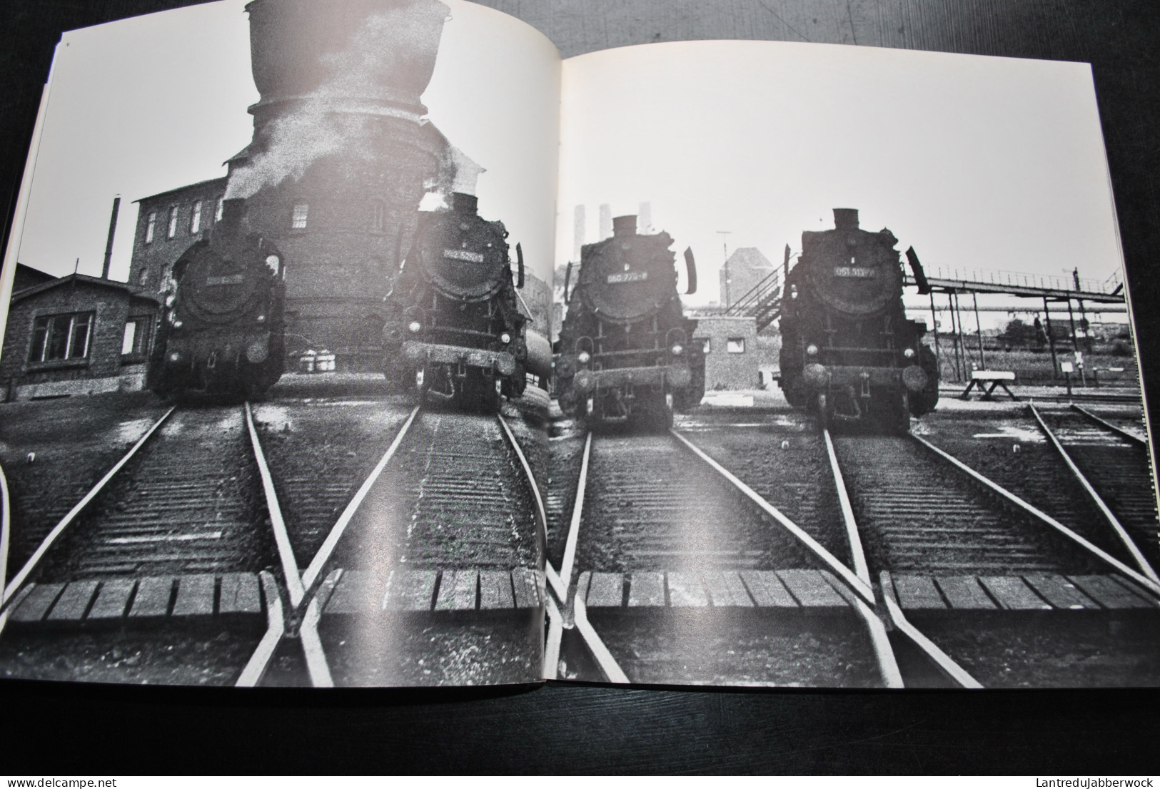 TERBOIS Locographies Edita Denoël 1976 Photographies N&B De Locomotives à Vapeur Train Photo Micheline Chemin De Fer - Chemin De Fer & Tramway