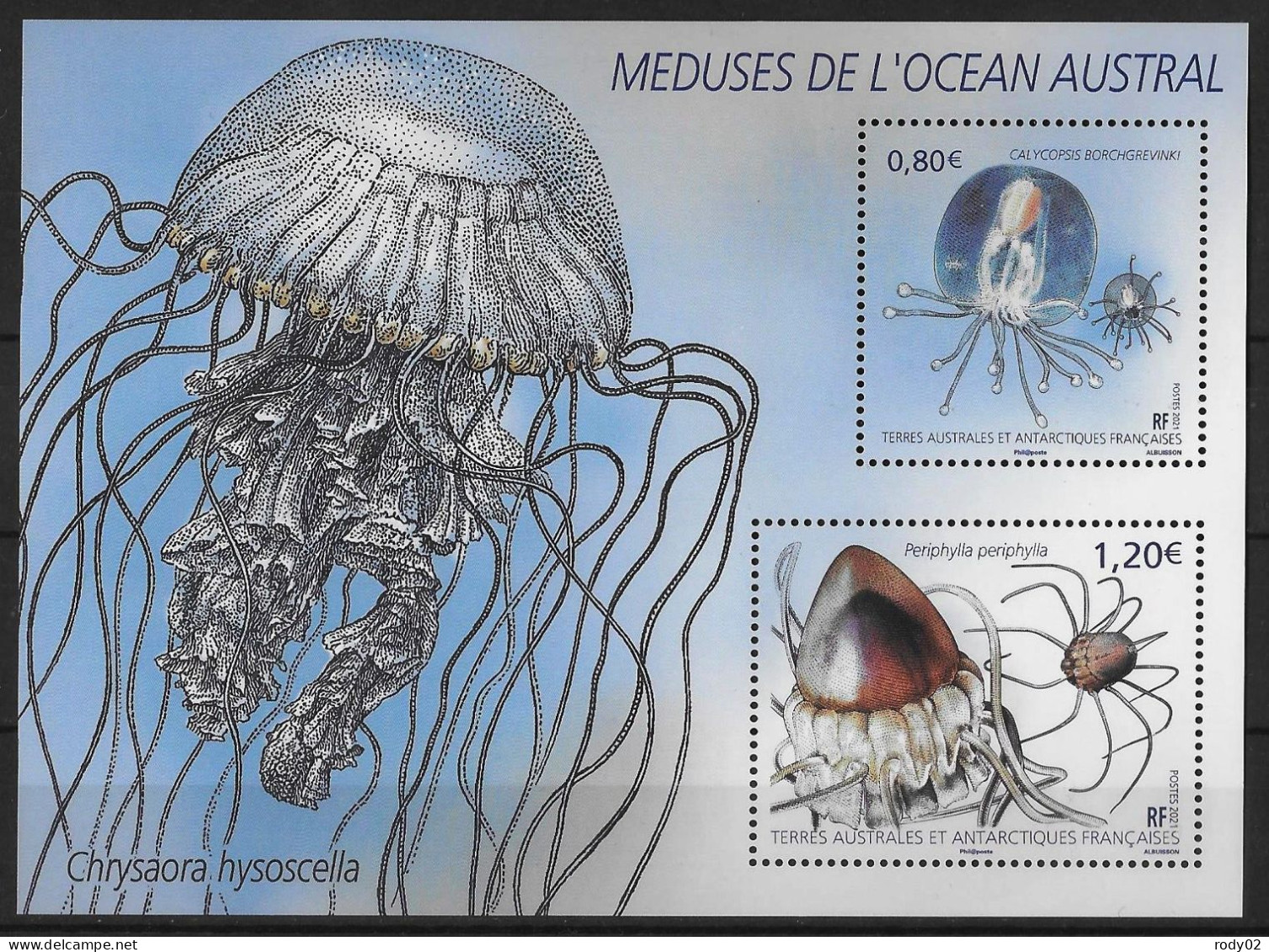 TAAF - ANNEE 2021 - MEDUSES DE L'OCEAN AUSTRAL - F 963 - NEUF** MNH - Unused Stamps