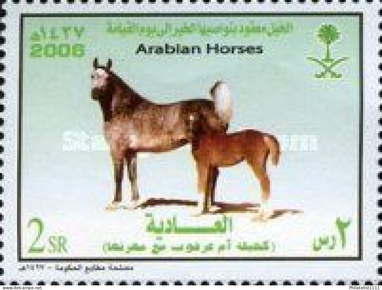 Horses - Saudi Arabia