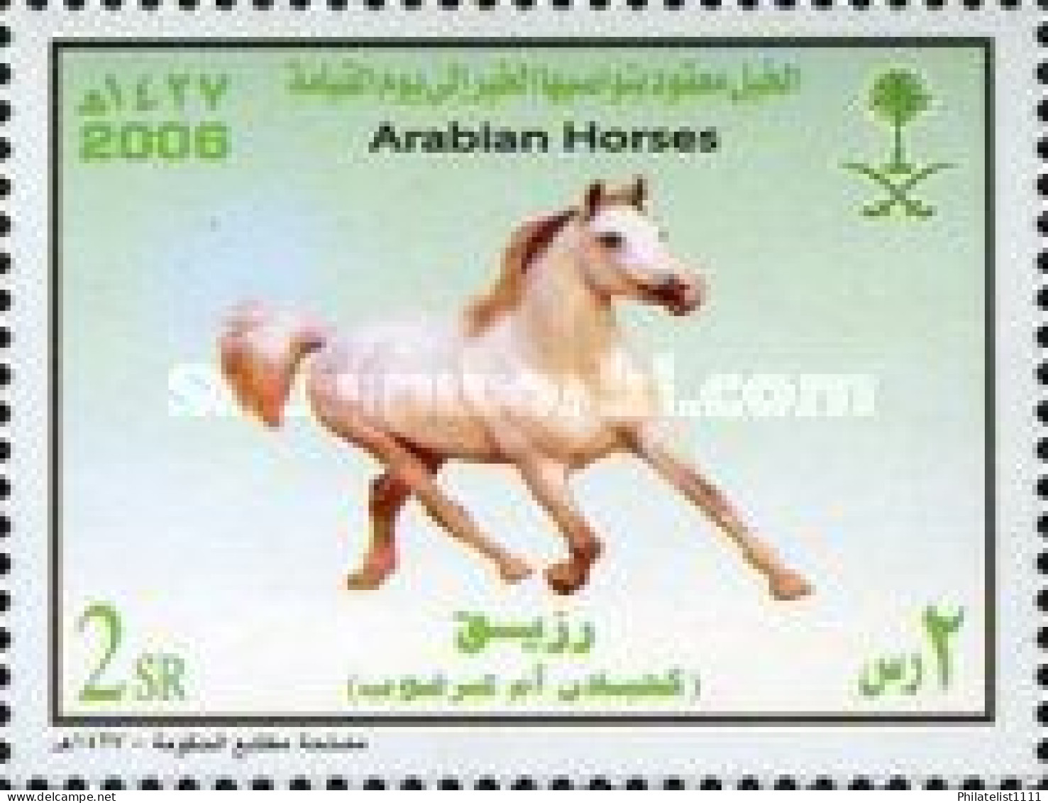 Horses - Saudi Arabia