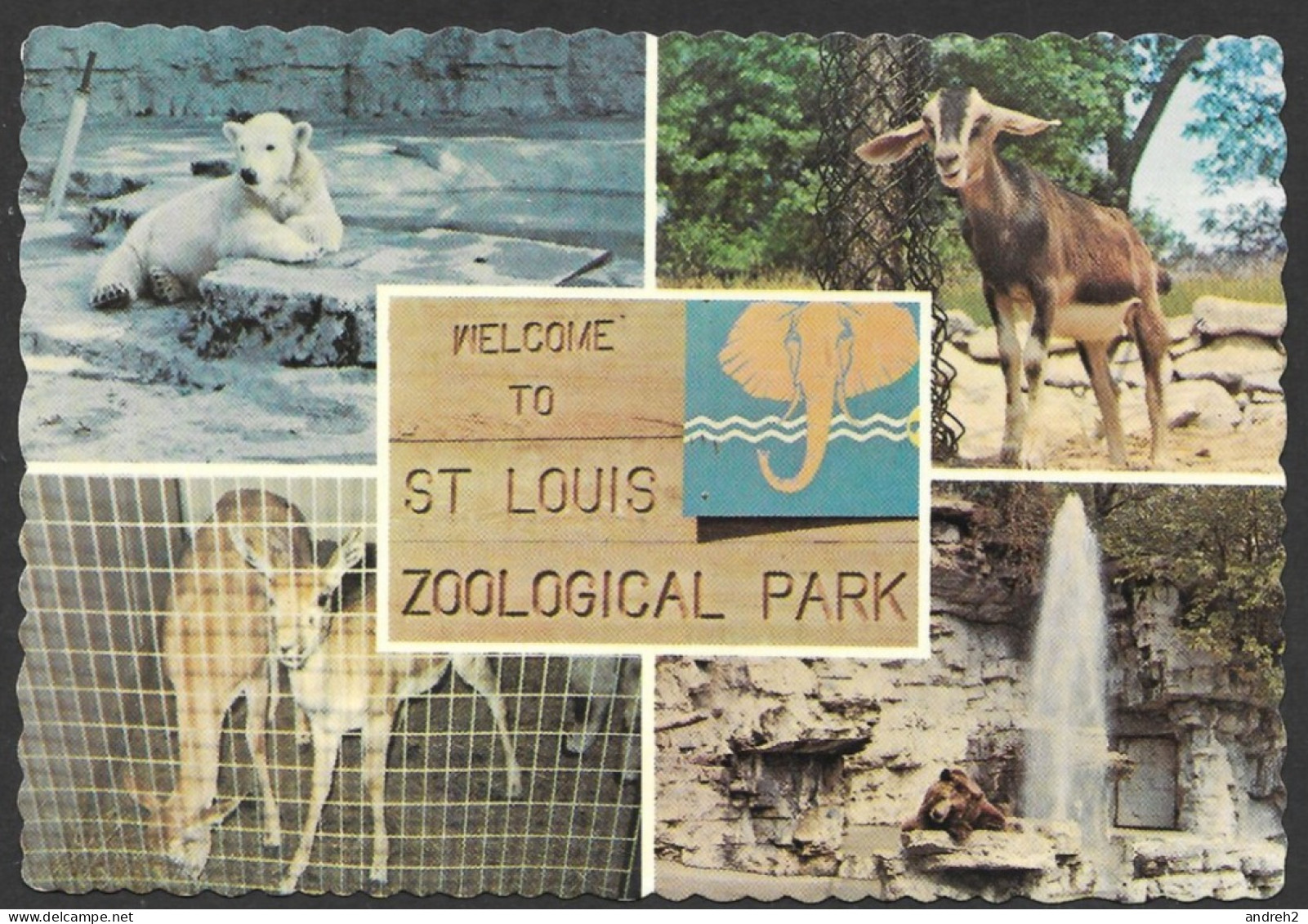 St Louis  Missouri - Welcome To St Louis Zoological Park (Zoo) Photo By Dennis Klemport - No: 62645-C - St Louis – Missouri