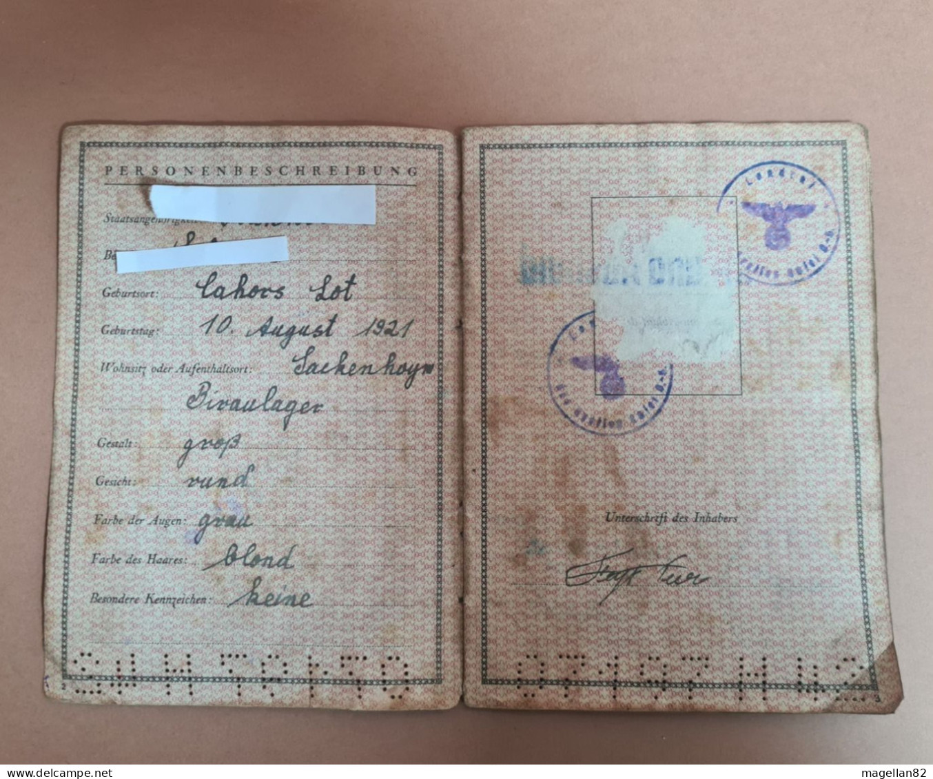 Document Historique. DEUTSCHES REICH. PASSEPORT. Deuxième Guerre Mondiale.  Waffen SS - Documenti