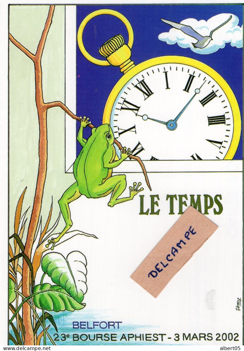 Le Temps - Montre - Grenouille - Petey