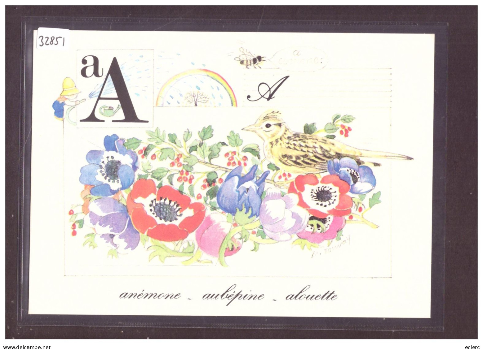 FORMAT 10x15cm - L'ALPHABET DE LA NATURE - TB - Collezioni E Lotti