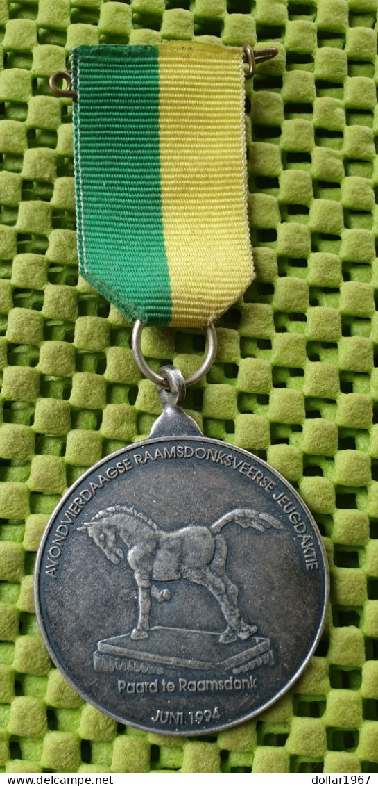 Medaile :   Avondvierdaagse - Paard Te Raamsdonk - Juni 1994 . -  Original Foto  !!  Medallion  Dutch - Ruitersport