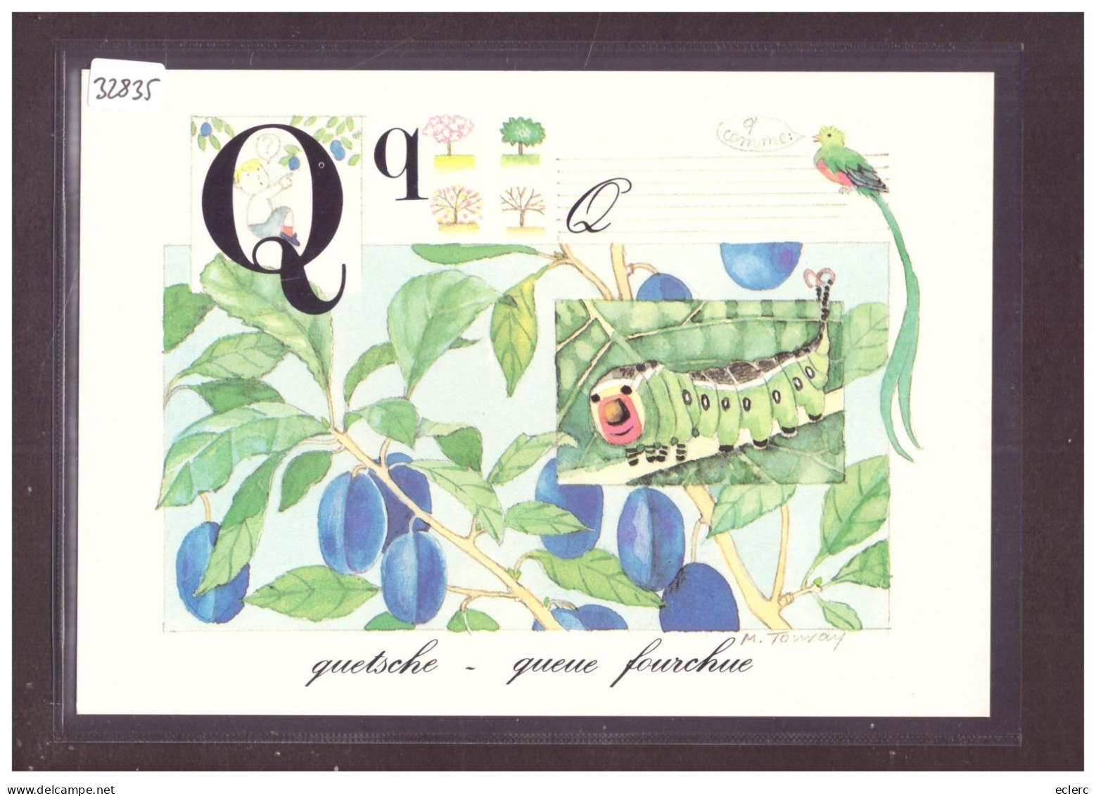 FORMAT 10x15cm - L'ALPHABET DE LA NATURE - TB - Collections & Lots