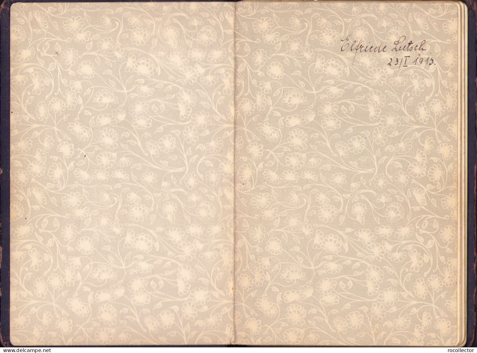 Old Remmembrance Notebook, Saxon Young Lady From Hermannstadt Transylvania 1915-1919 586SP - Manuscrits